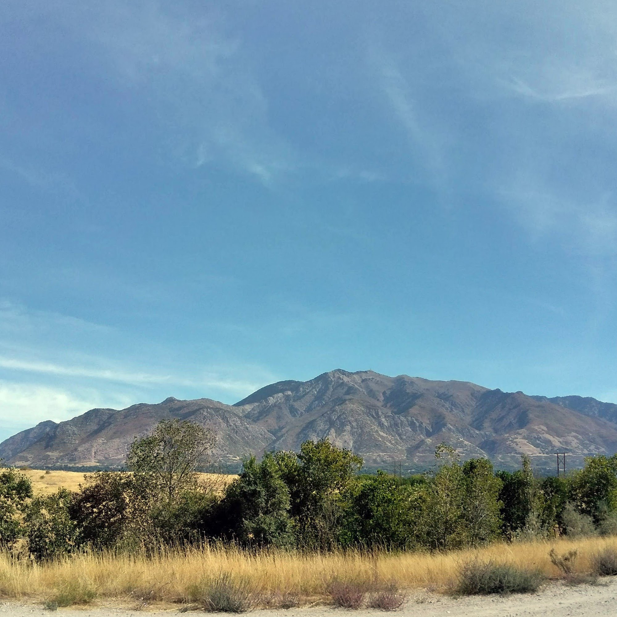 Cargill Animal Nutrition Ogden