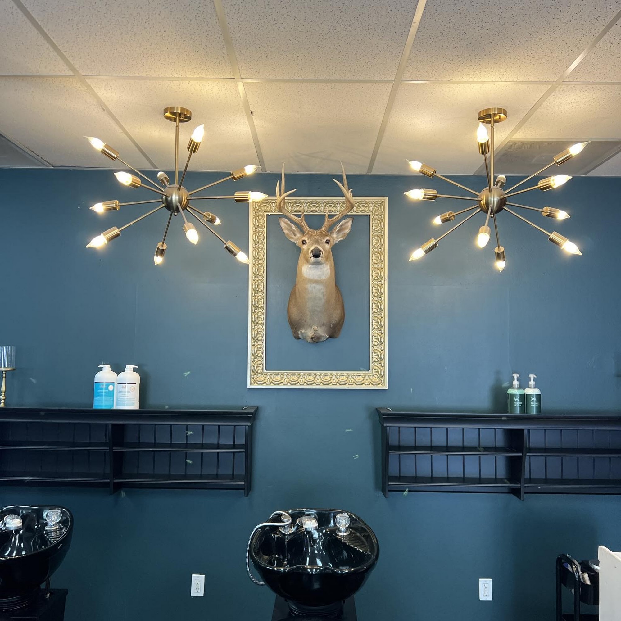 Tailored Barber Co. II Ogden