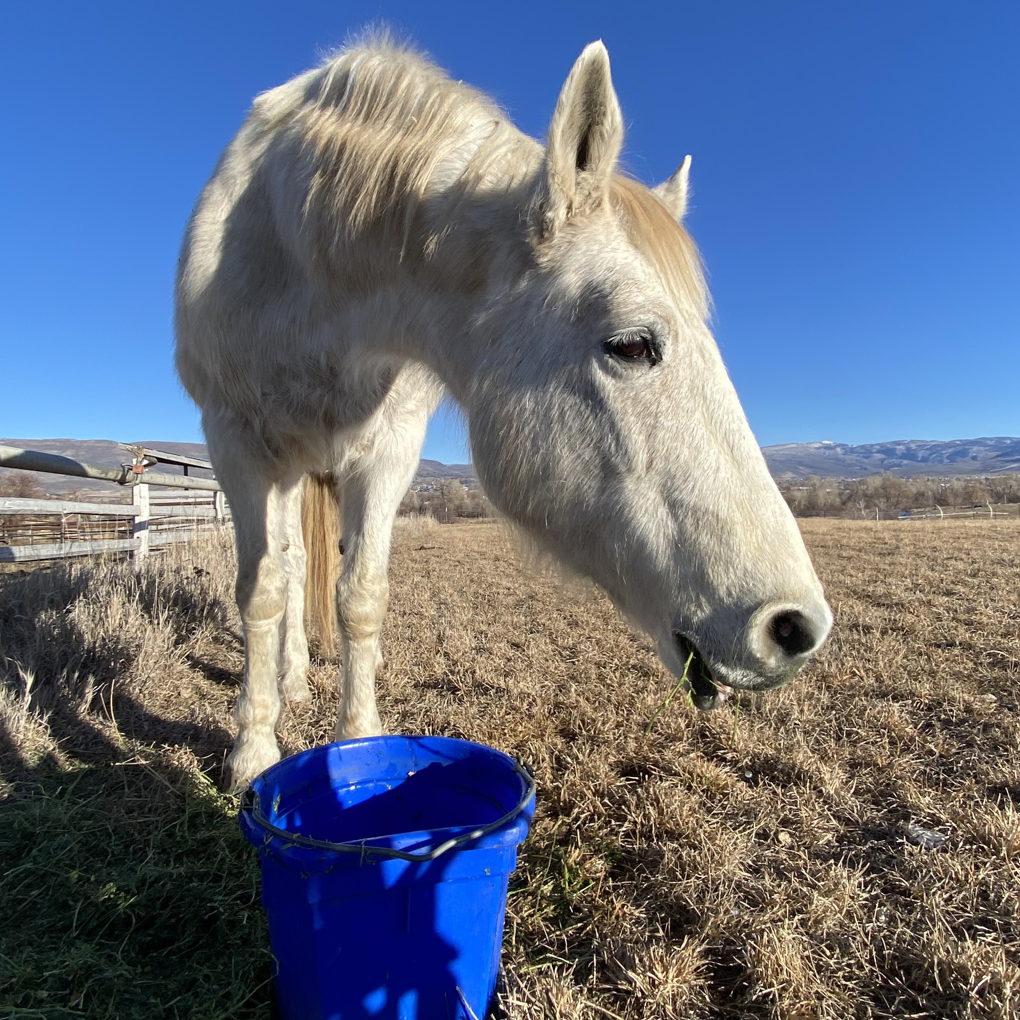 Park City Equine Center Park City