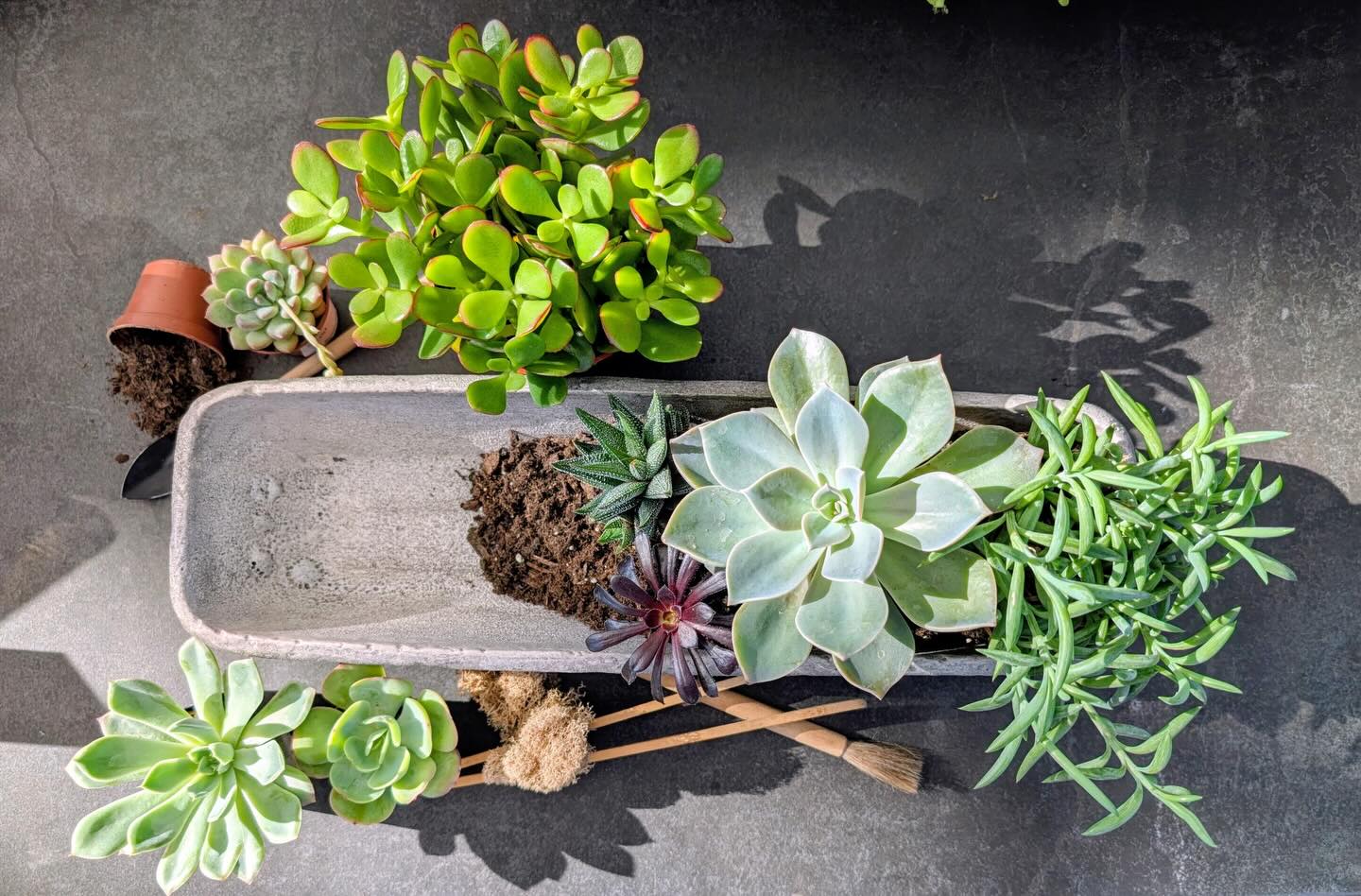 Garden Cafe at Park City Gardens Park City