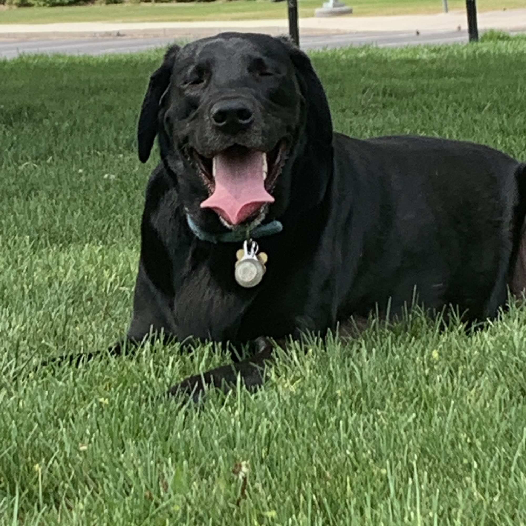 Dr. Kate Hooley Payson