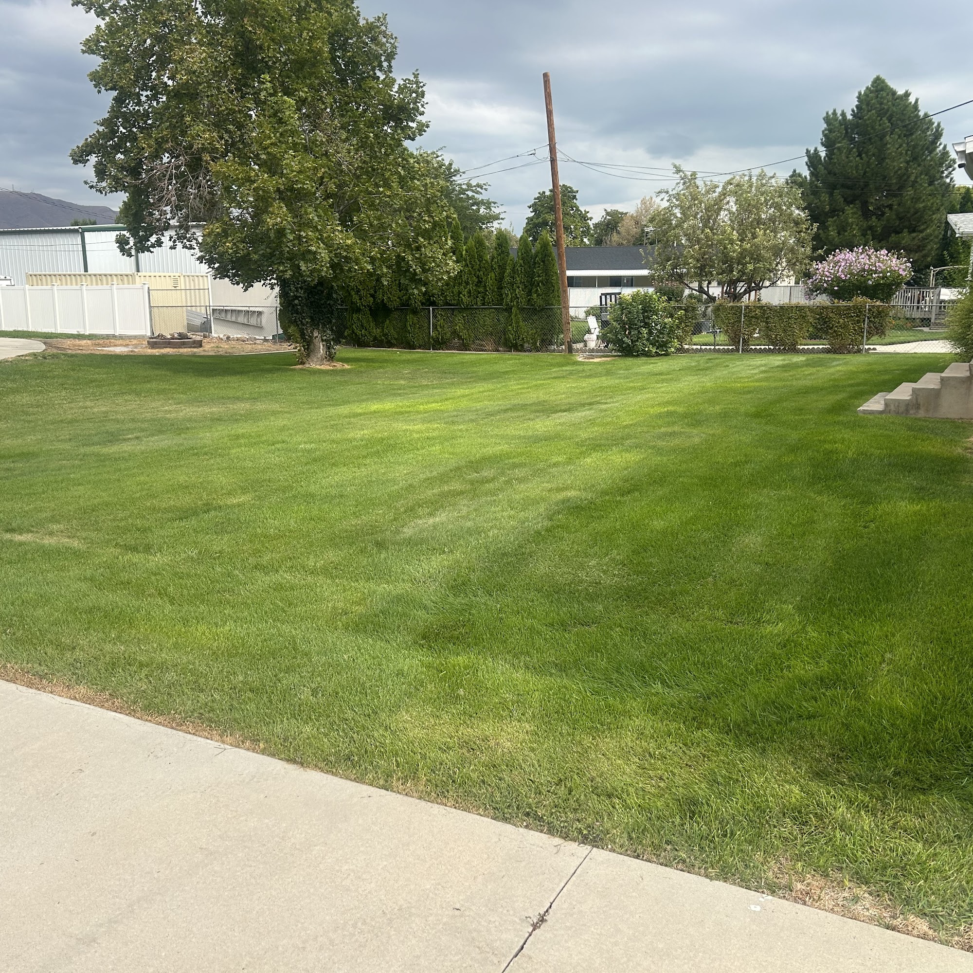 bear canyon lawn care