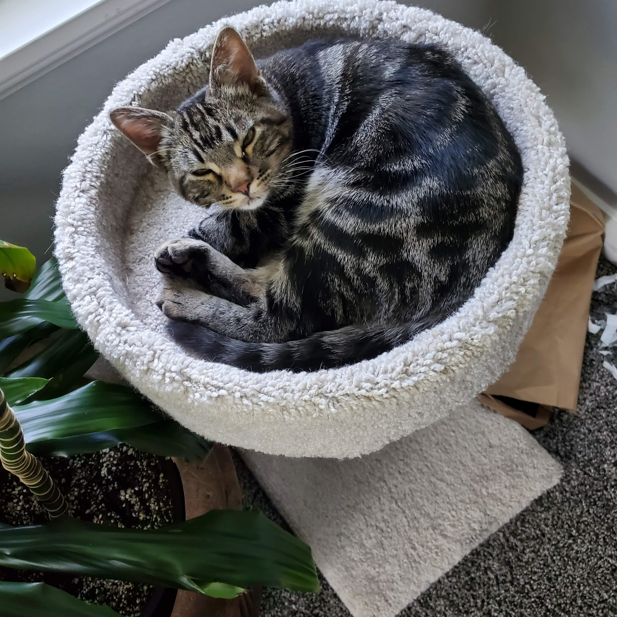 Copper View Animal Hospital Riverton