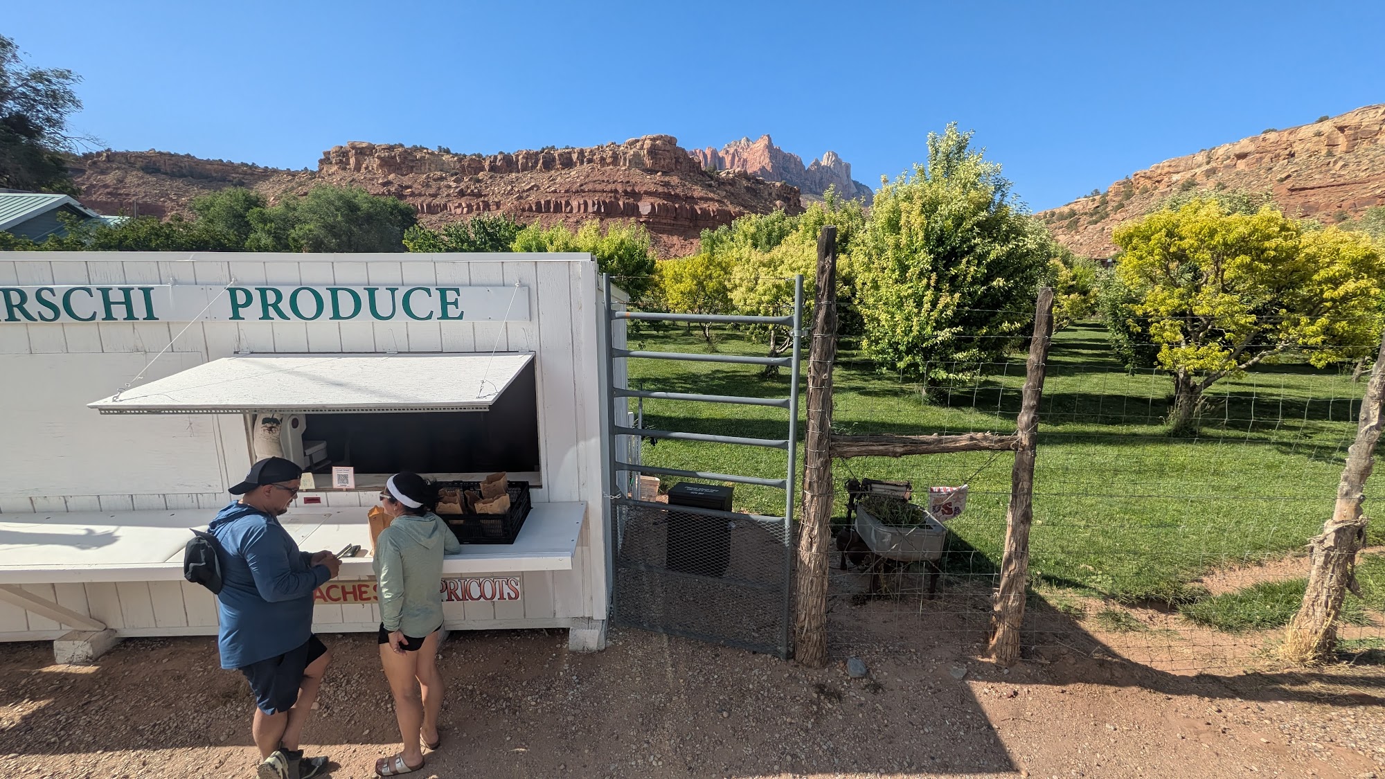 Hirschi Produce Menu