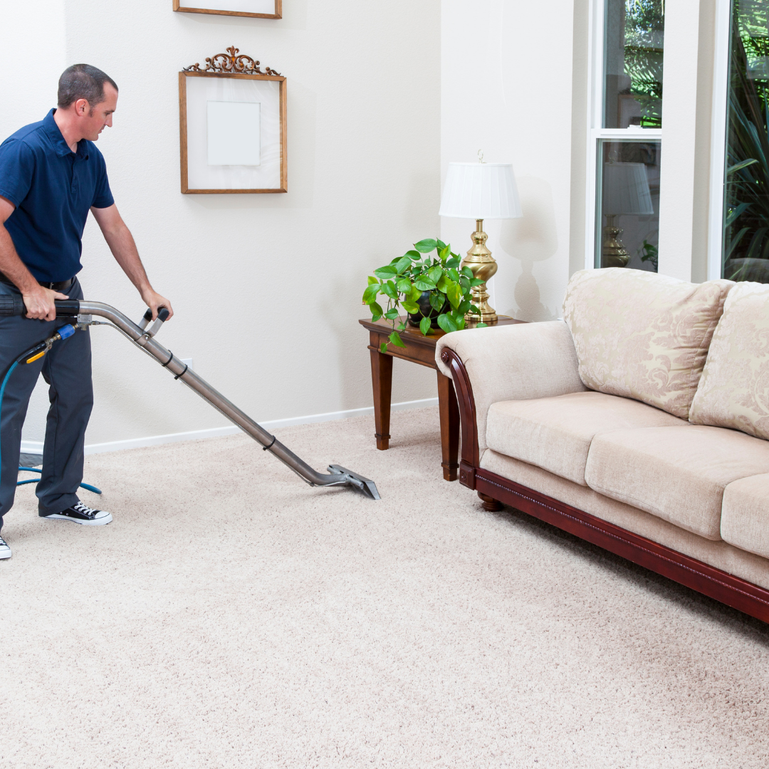 Final Touch Carpet Cleaning