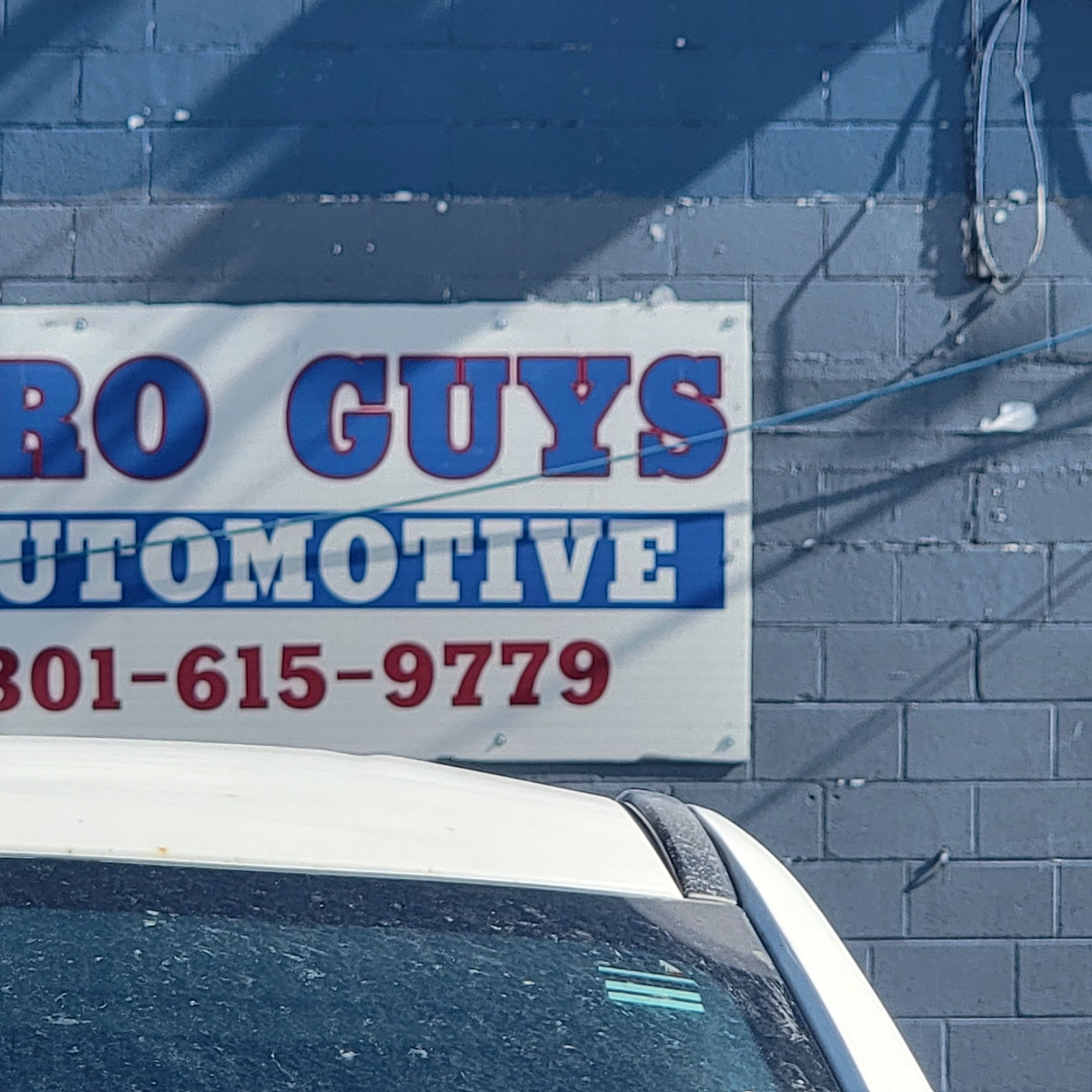 Pro Guys, Llc