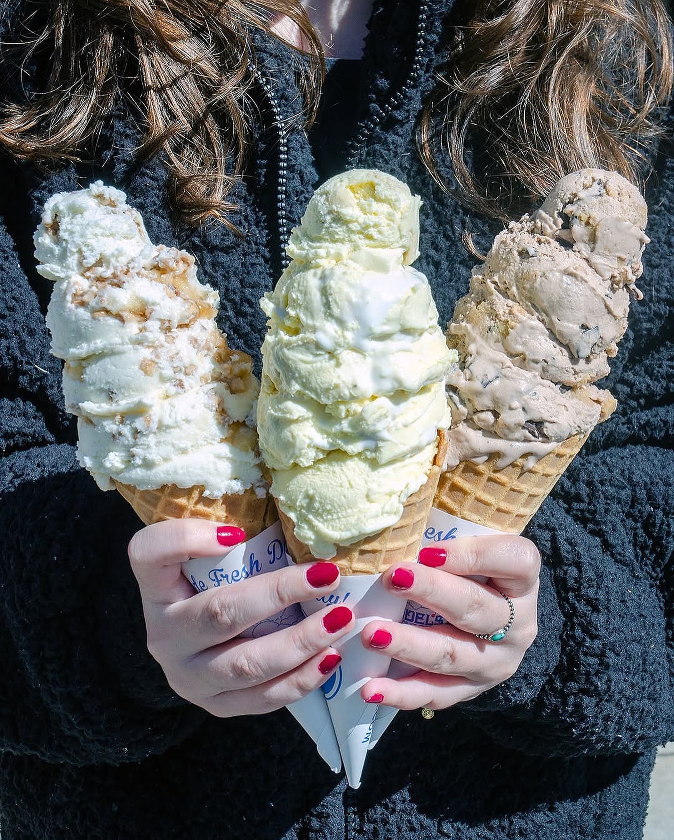 Handel's Homemade Ice Cream Sandy