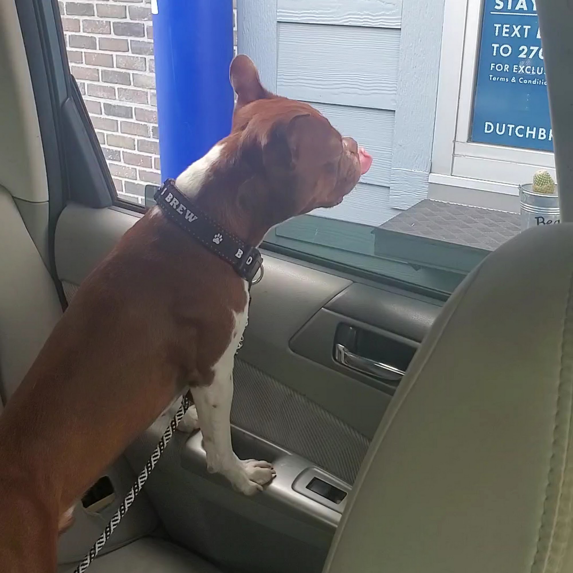 Dutch Bros Coffee Sandy