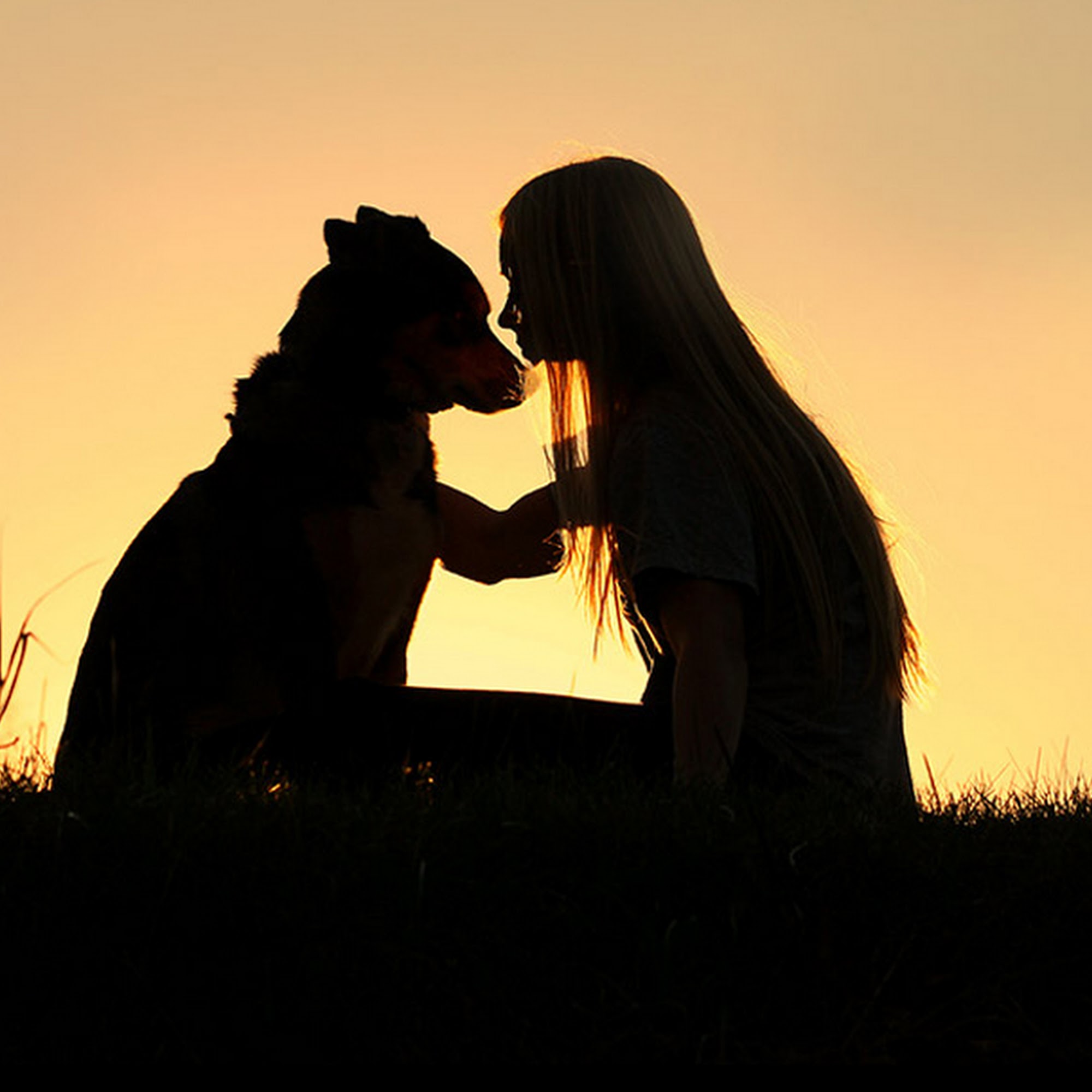 A Gentle Vet South Jordan