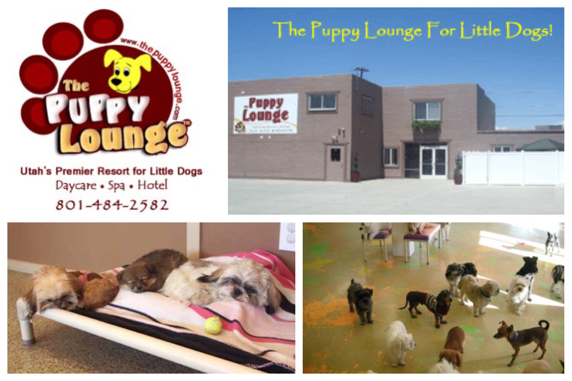 The Puppy Lounge For Little Dogs South Salt Lake