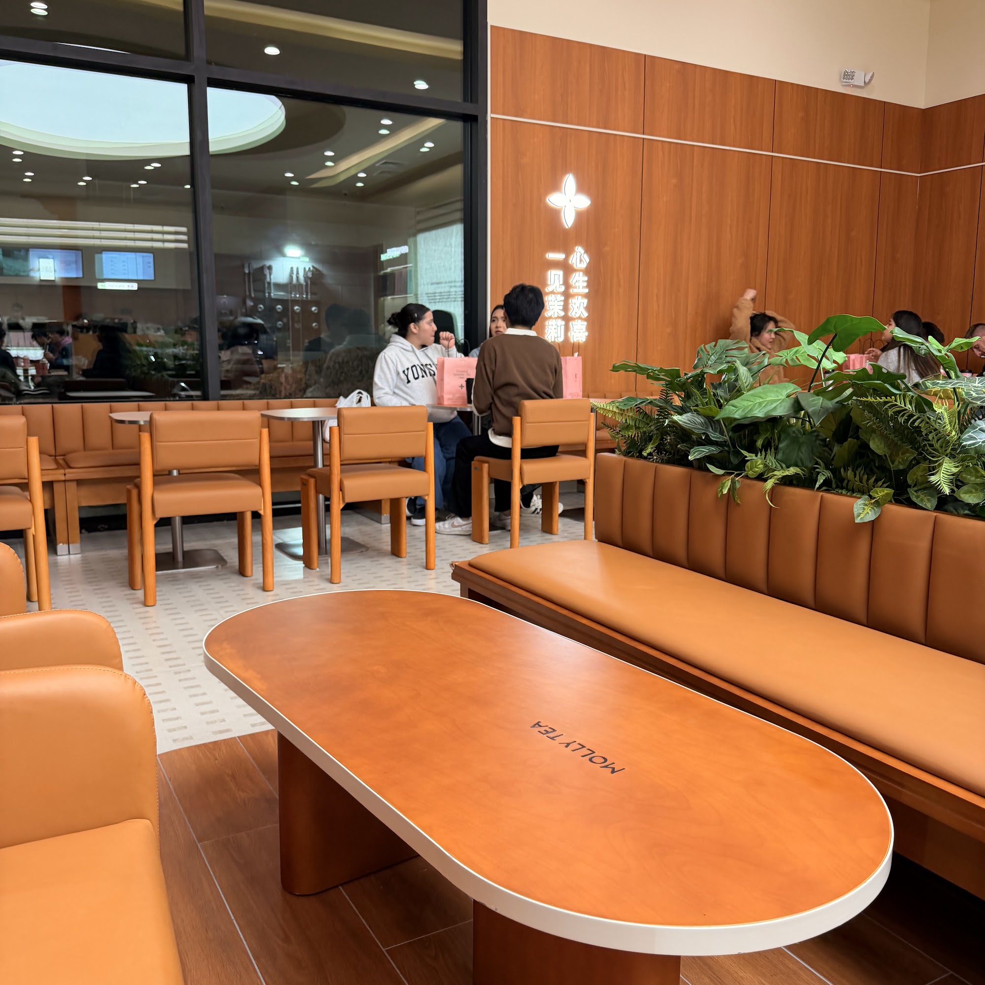 Molly Tea 茉莉奶白 South Salt Lake