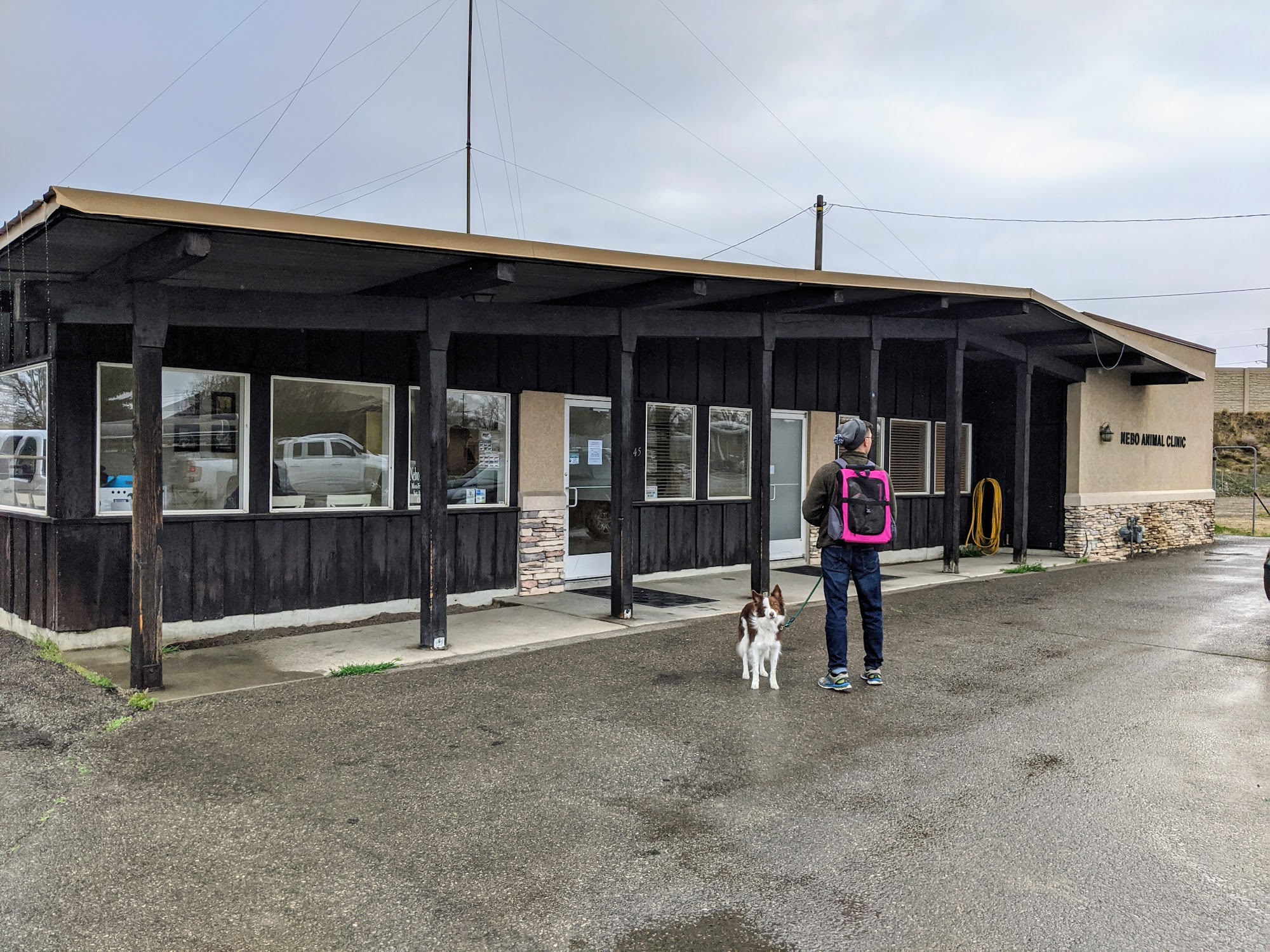 Nebo Animal Clinic Spanish Fork