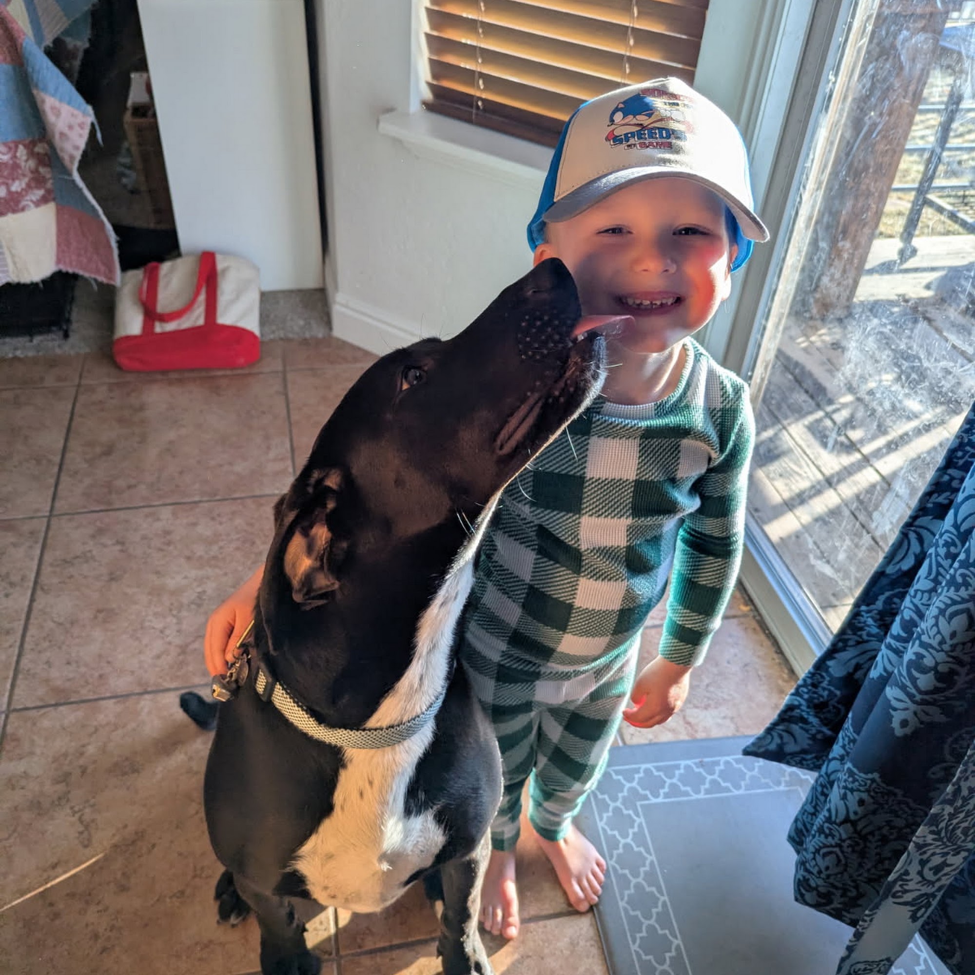 South Utah Valley Animal Shelter Spanish Fork