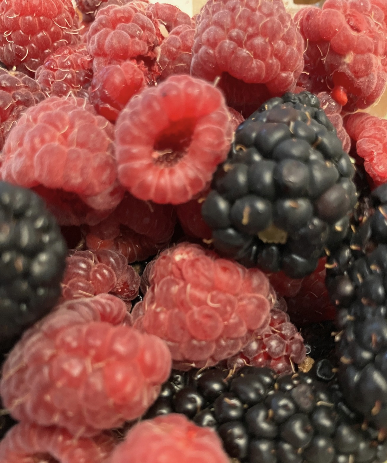 U-Pick Berries Spanish Fork