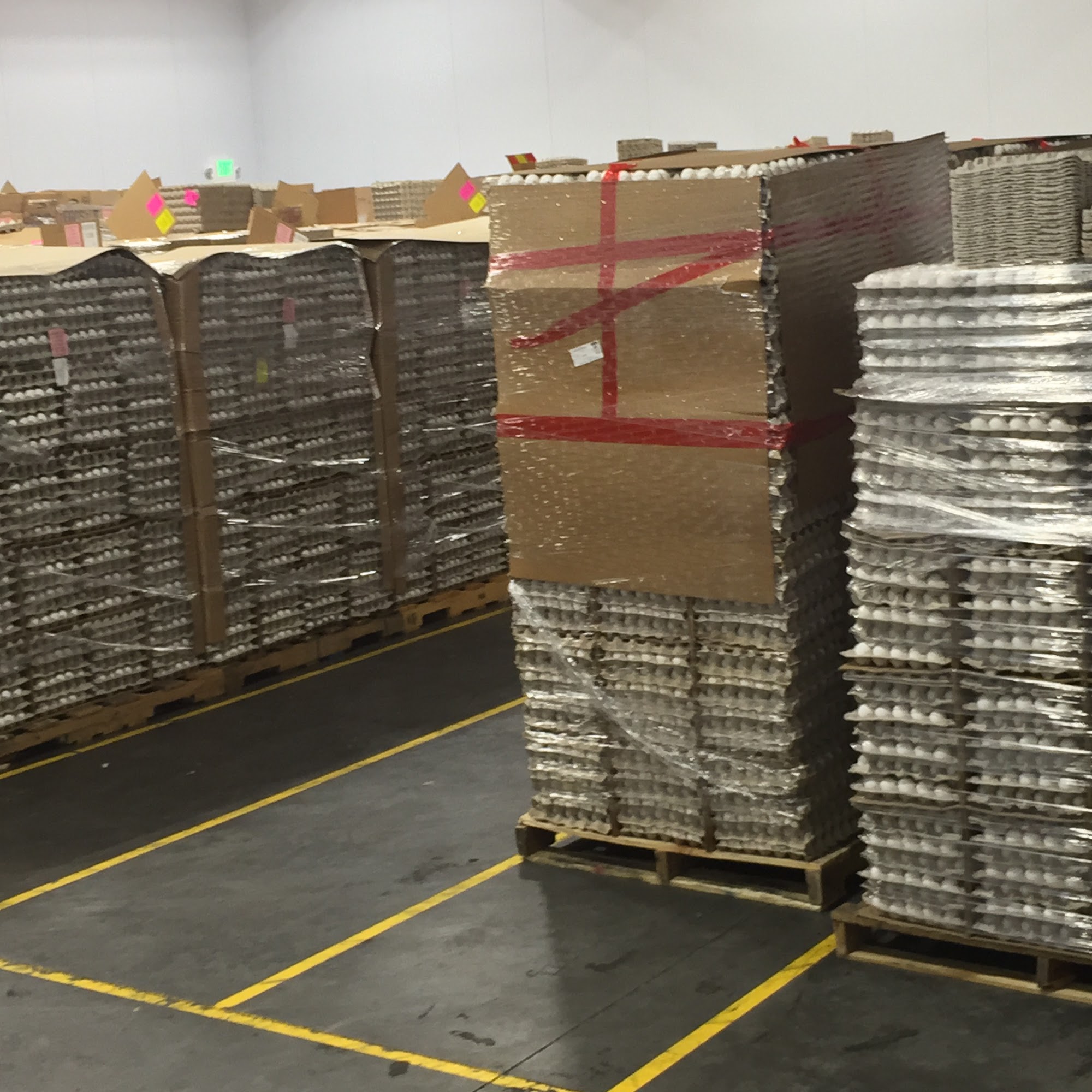 MuscleEgg Spanish Fork