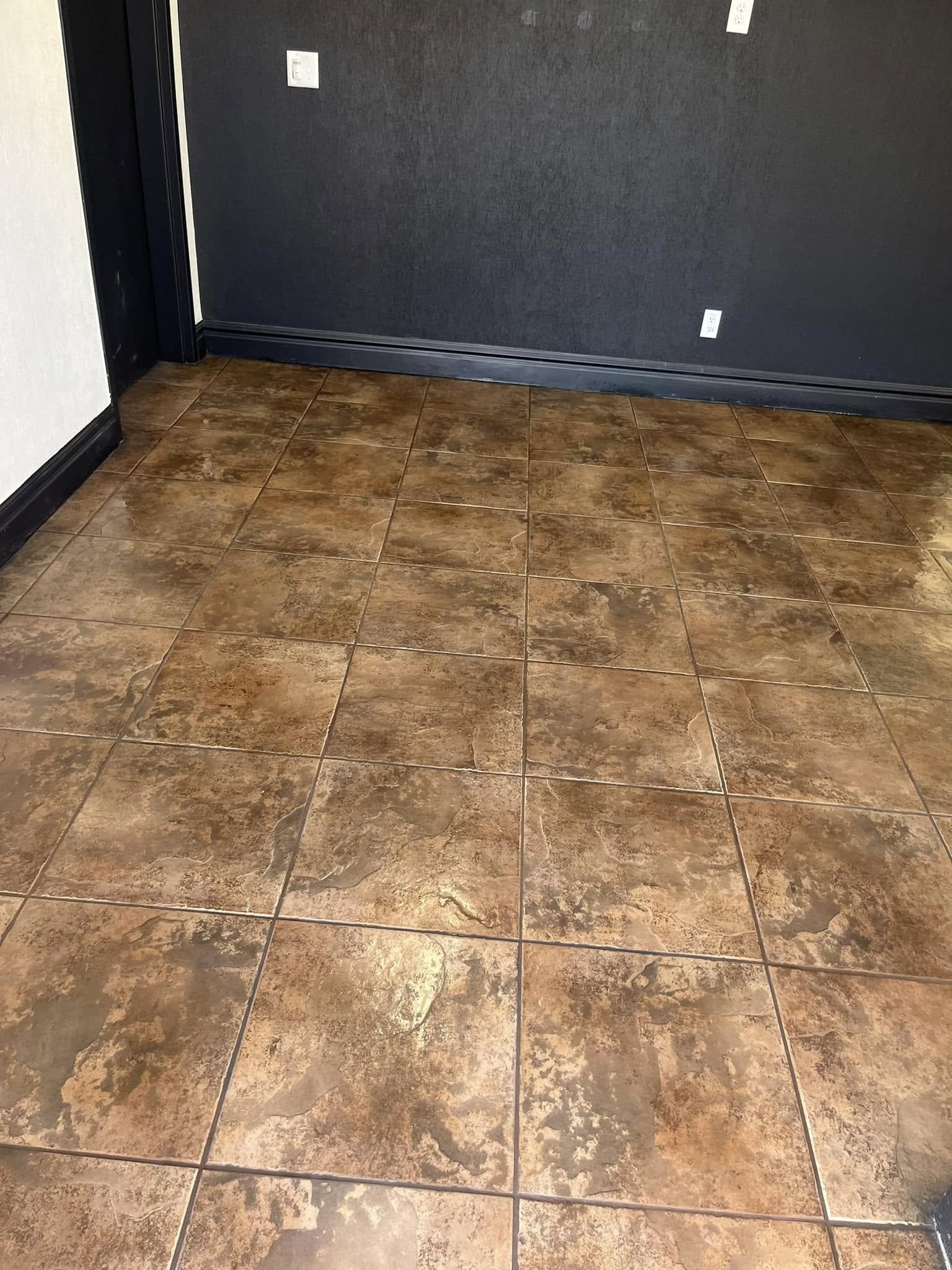 Ward Brothers Carpet Care