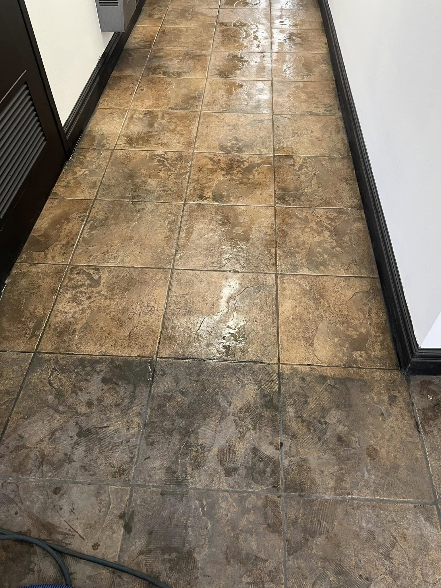 Ward Brothers Carpet Care