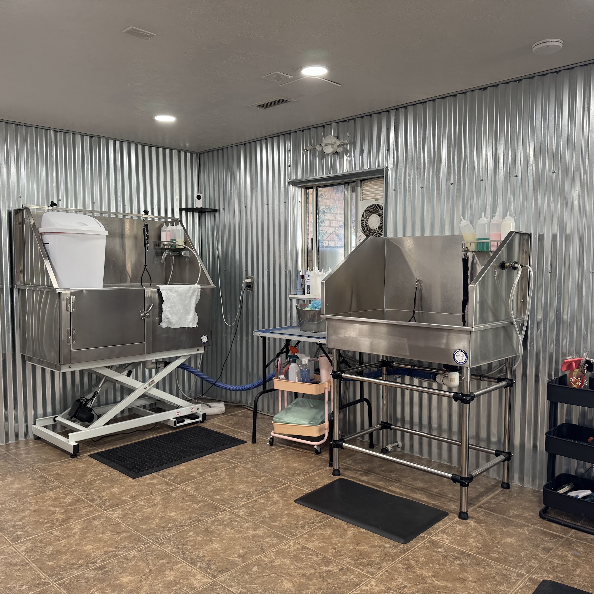 Poochie Doo's Grooming Salon @poochiedoosgroomingsalon Springville