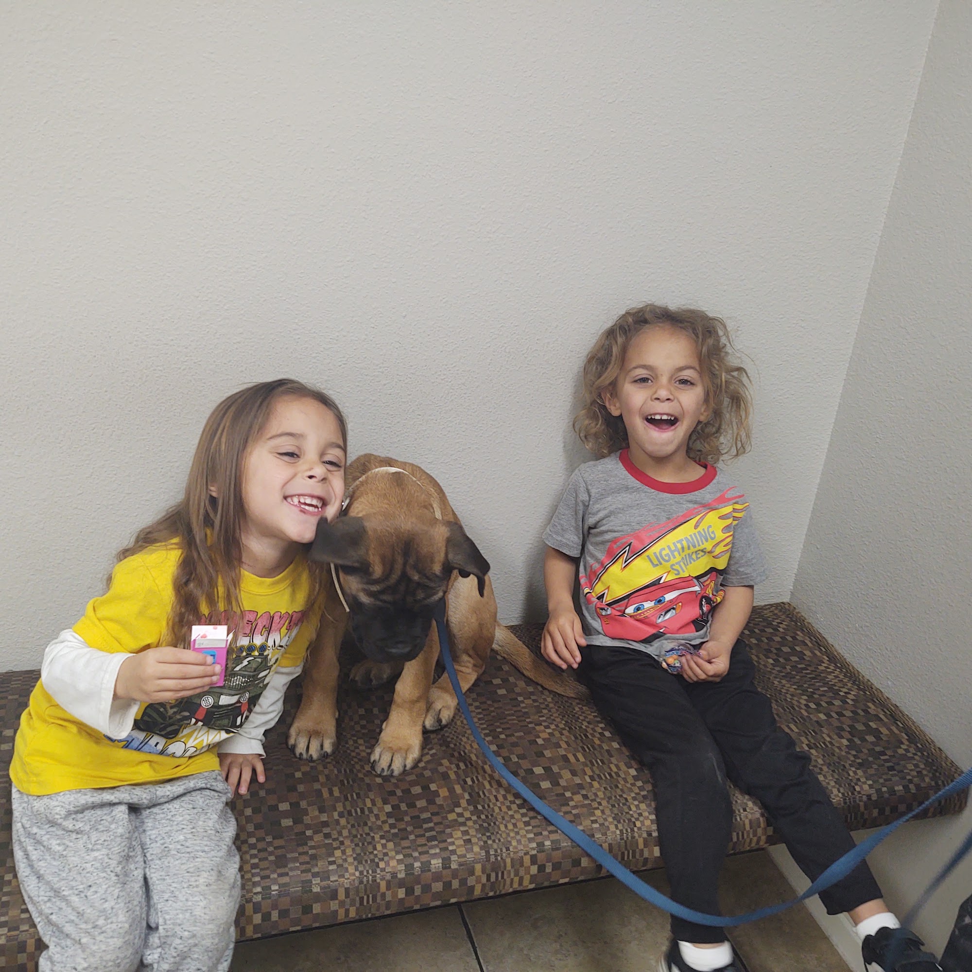 Dr. Kelly Houston St. George