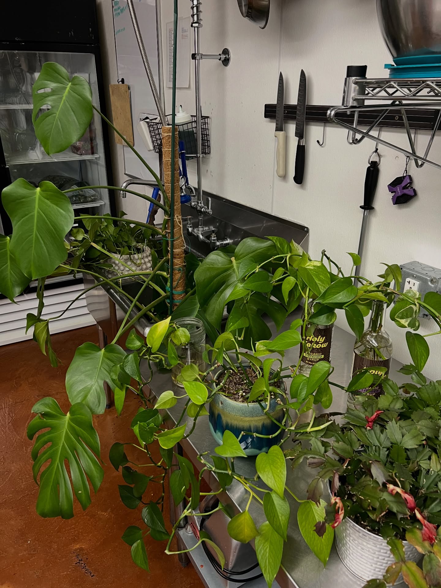 Gaia's Garden Cafe St. George