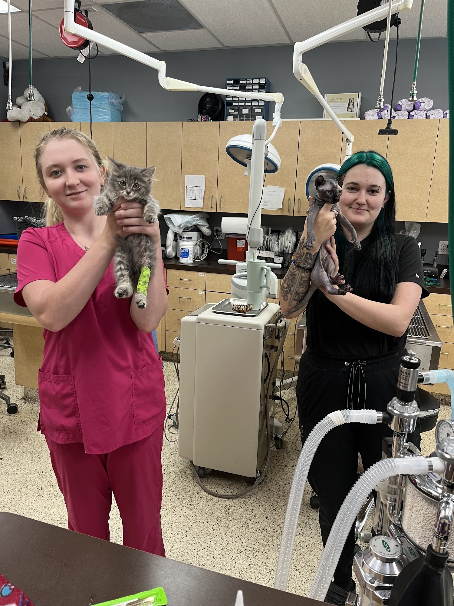 VCA All Pet Animal Hospital/Taylorsville Taylorsville