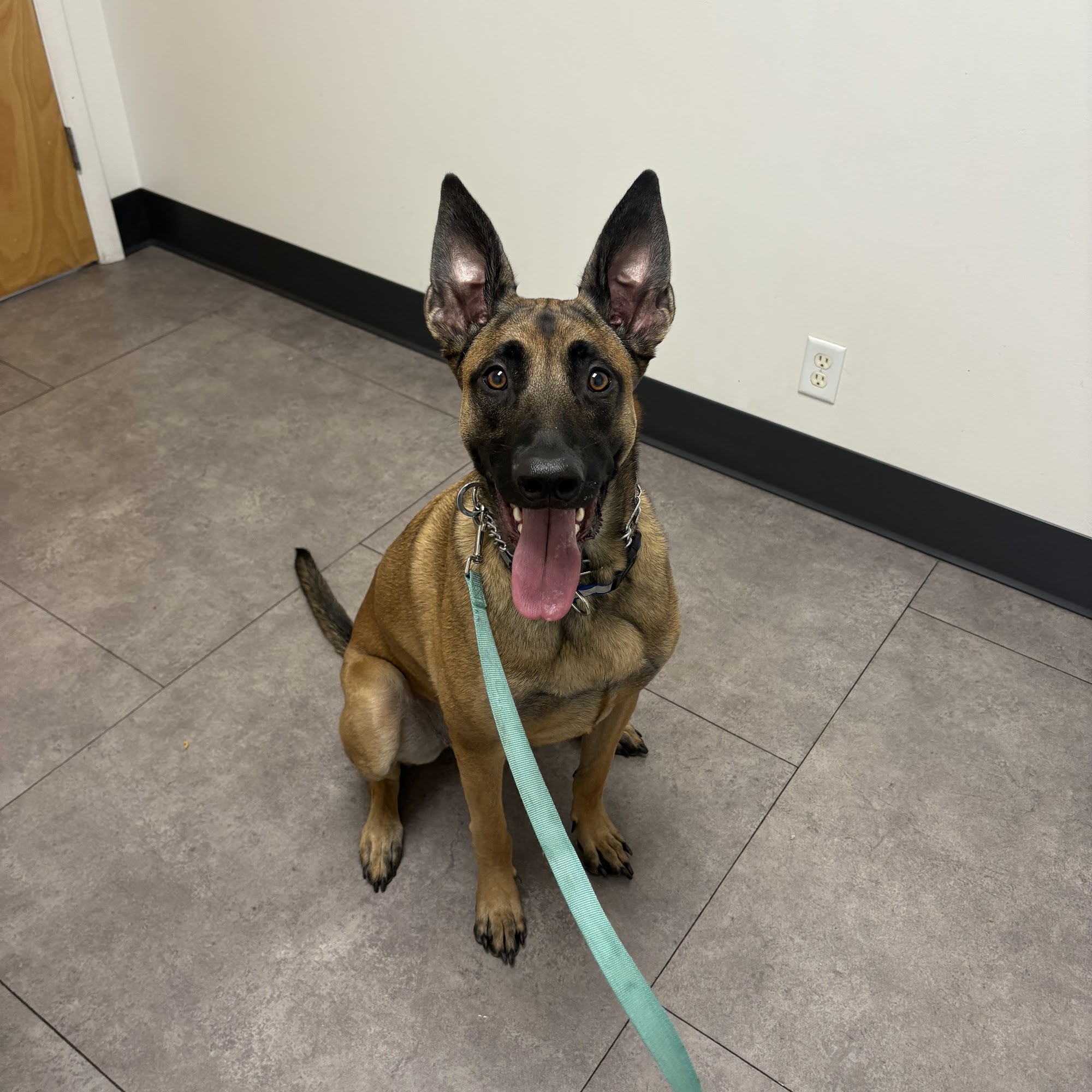 Midvalley Animal Clinic Taylorsville