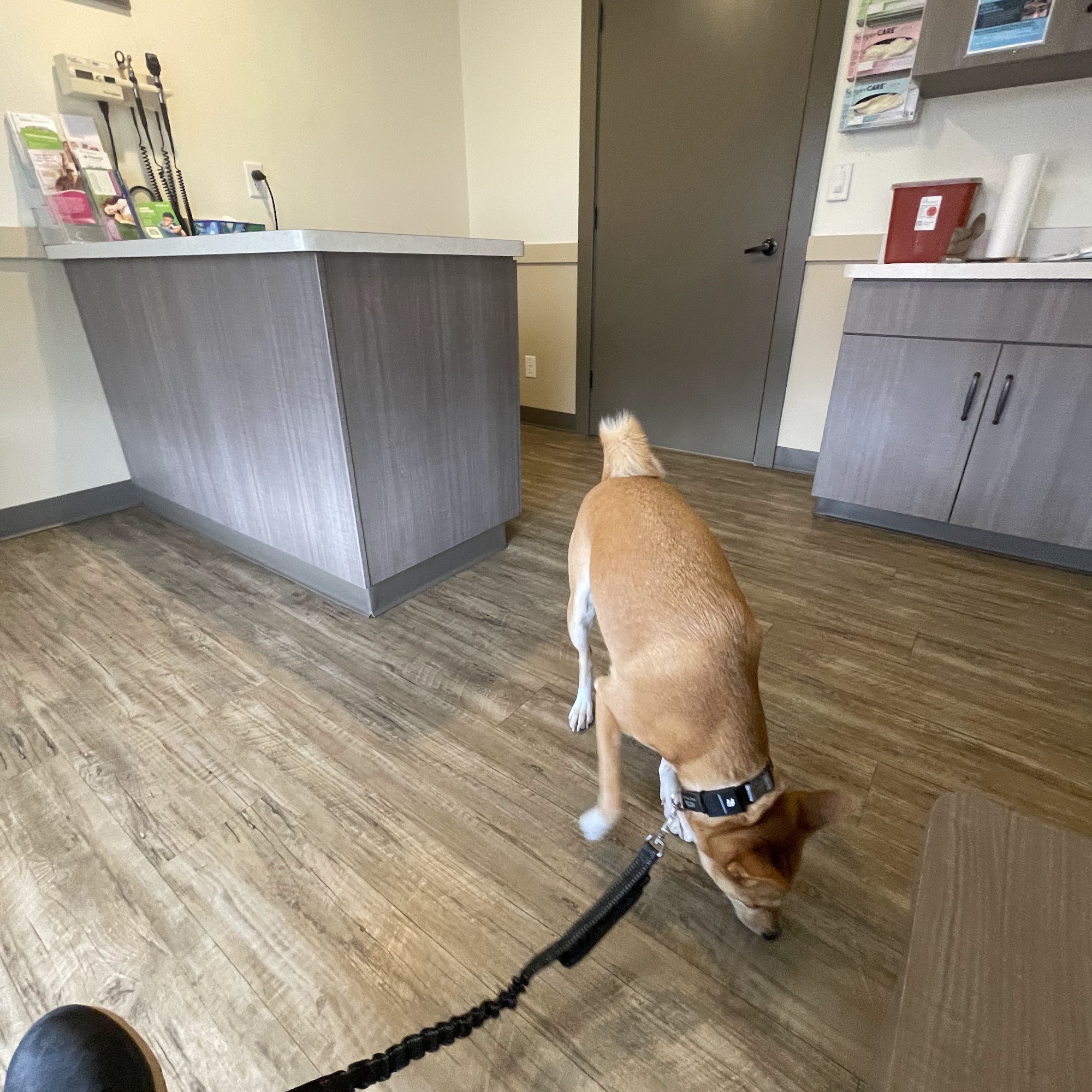 Bear River Animal Hospital Tremonton