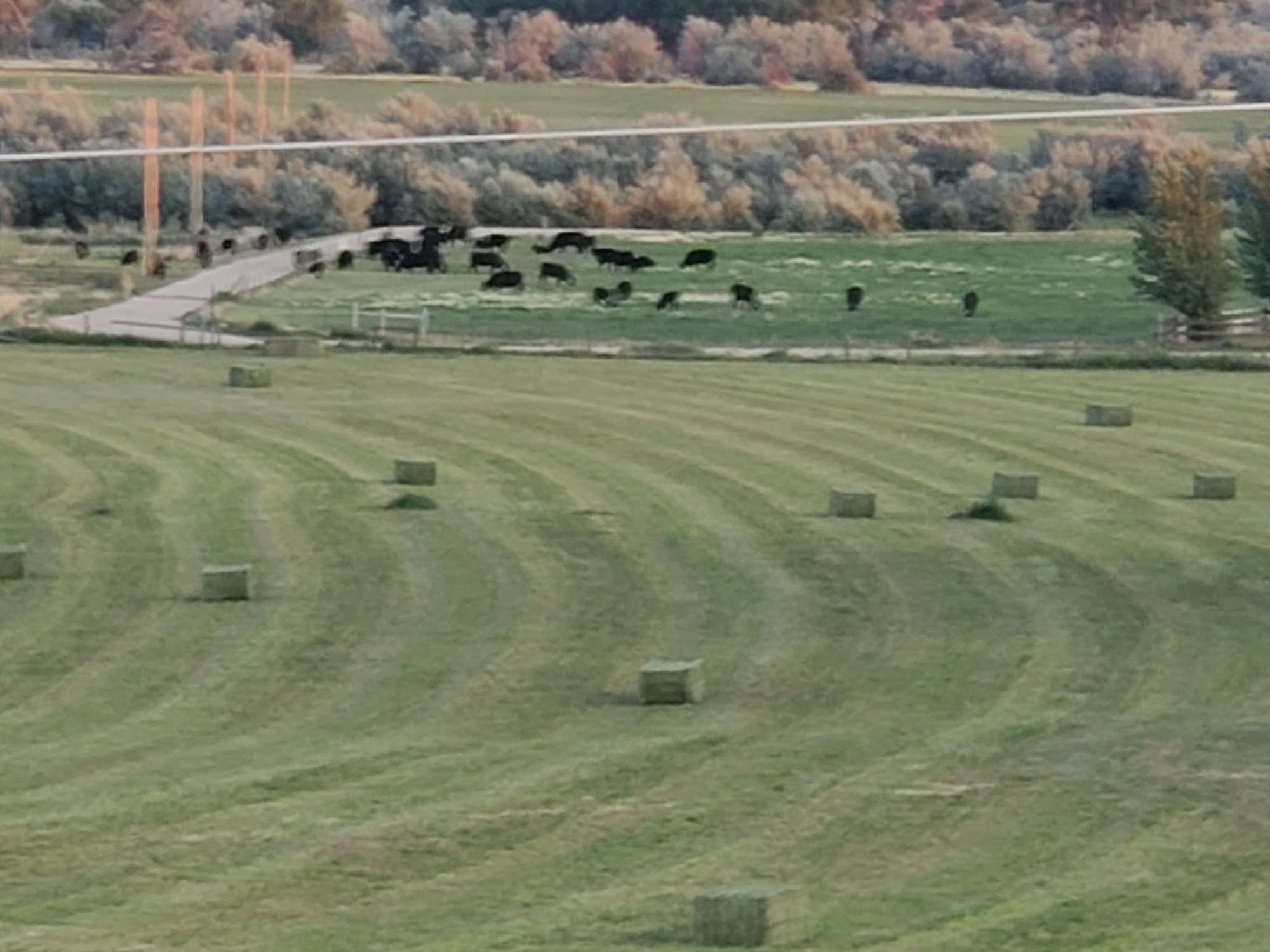 WS Ranch Farmhouse-Products