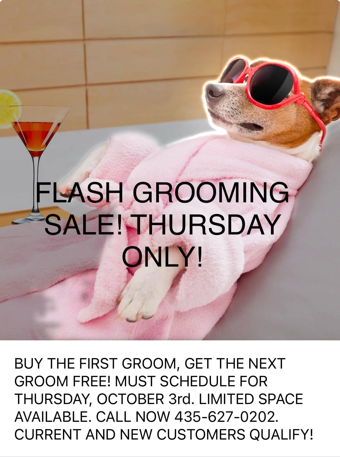 ALL IN THE DETAILS PET GROOMING Washington