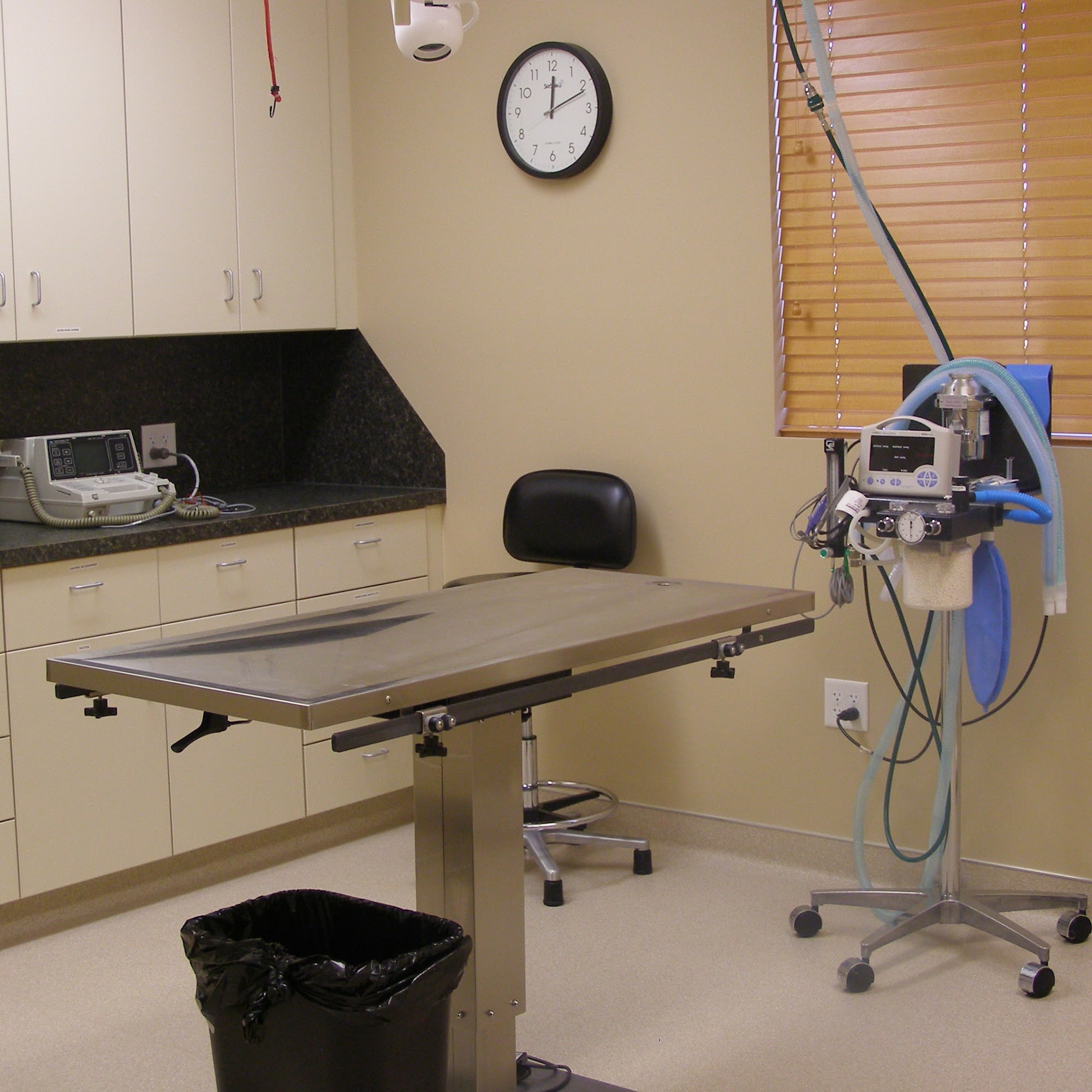 Animal Care Veterinary Hospitals (West Haven) West Haven