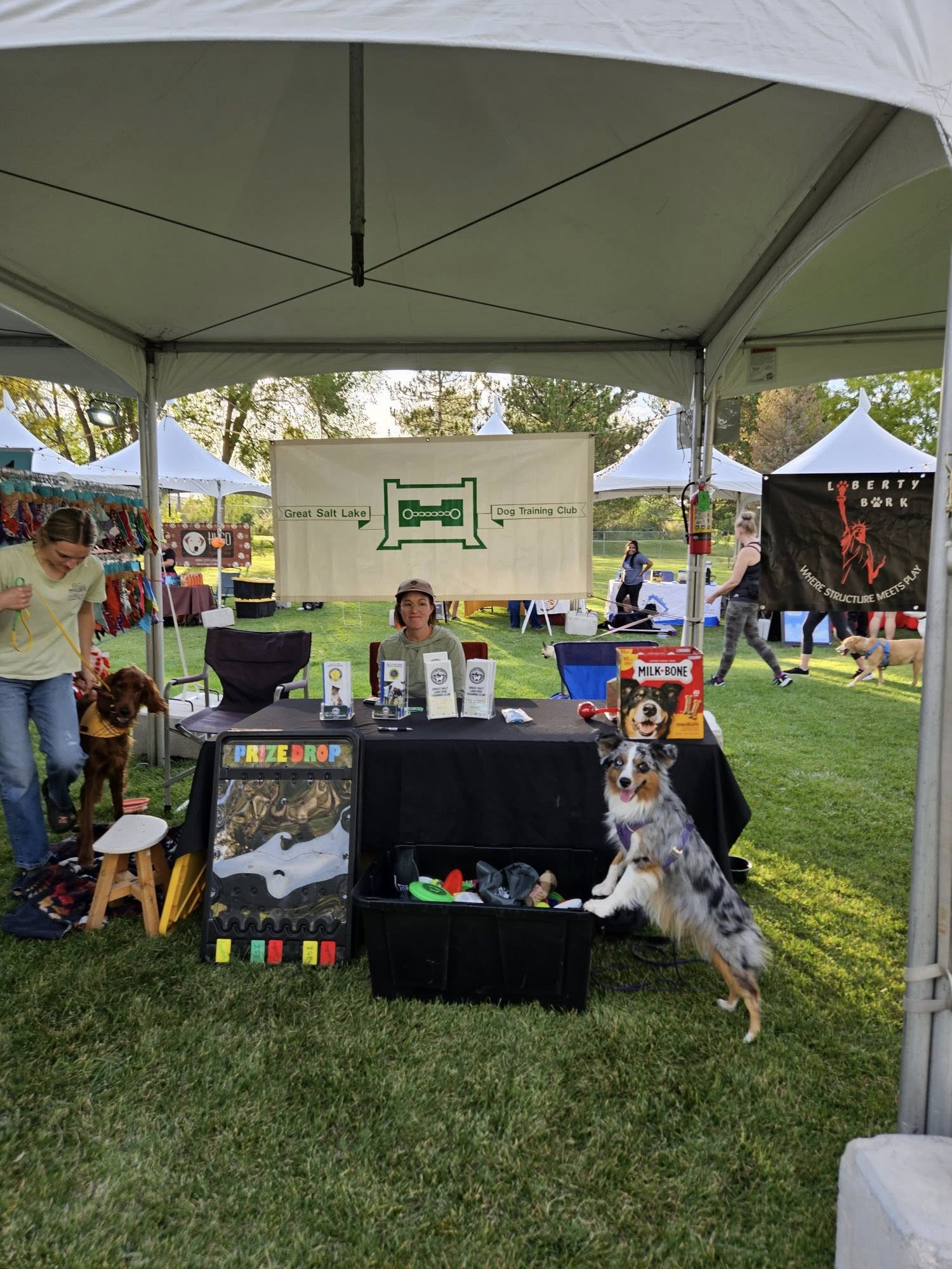 Great Salt Lake Dog Training West Jordan