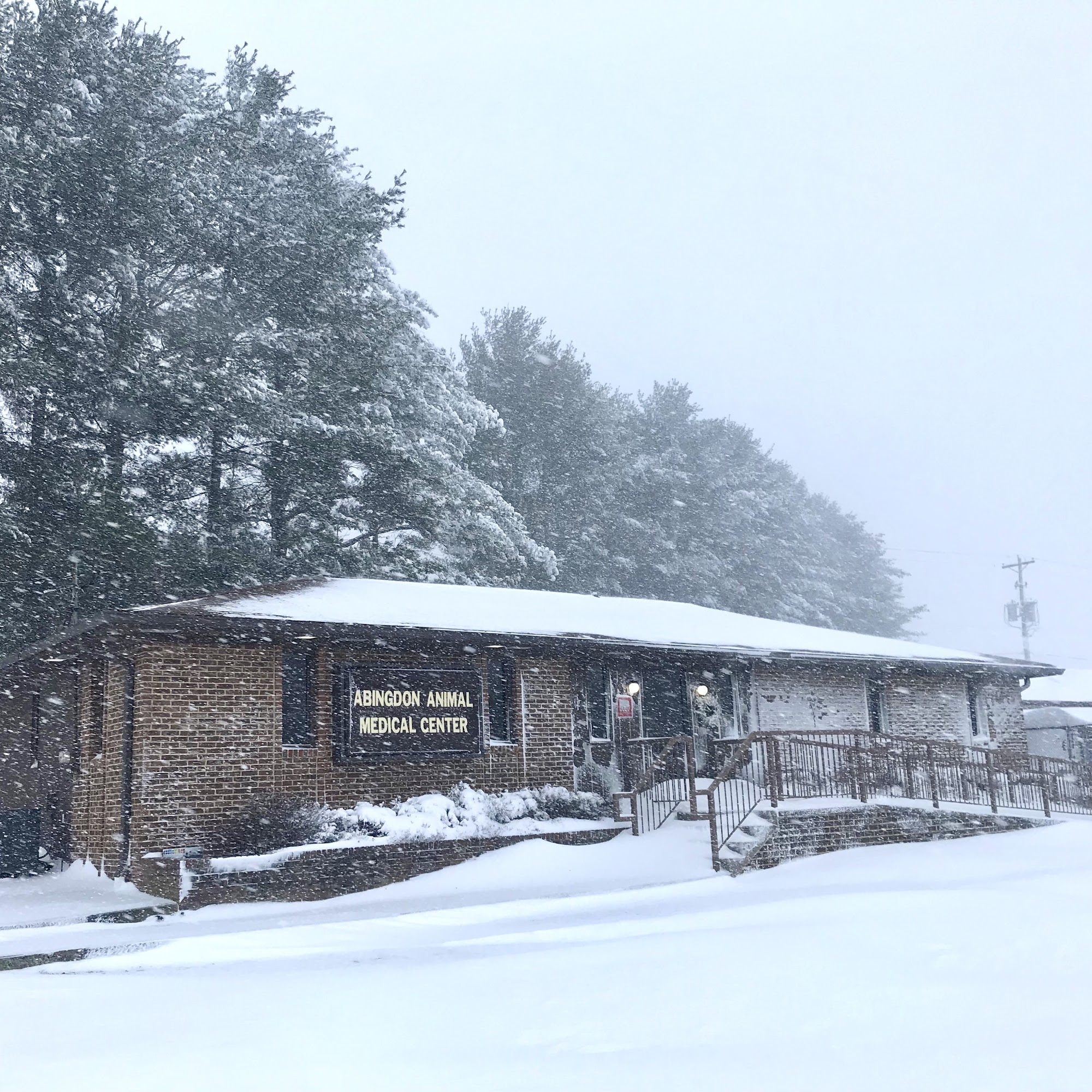 Abingdon Animal Medical Center Abingdon