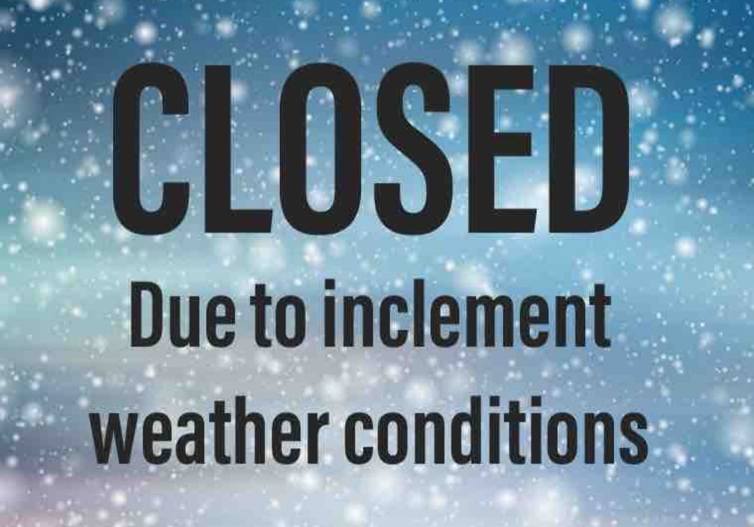 Webb's Pet Grooming Abingdon