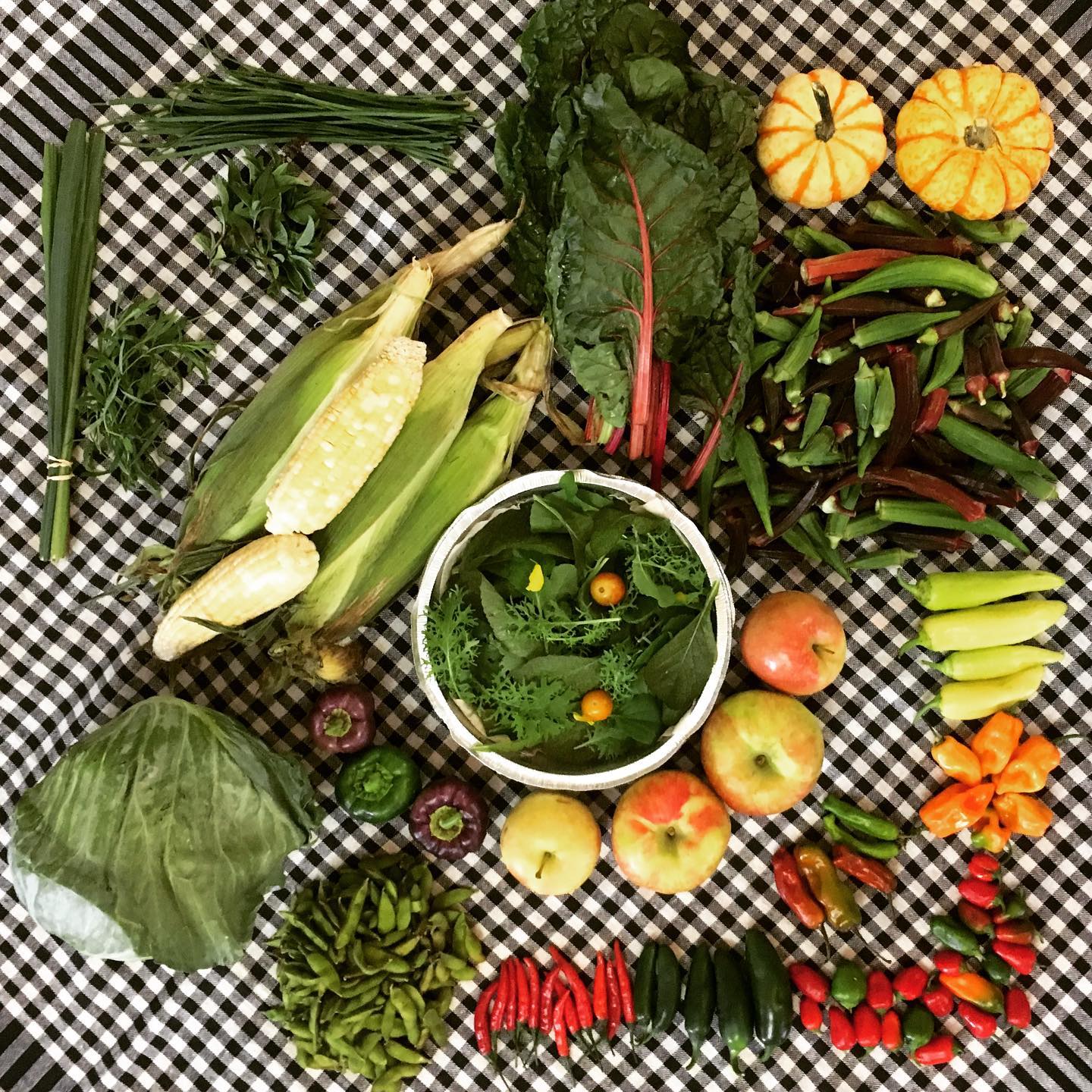 Southern Culture Cuisine Appalachia Abingdon