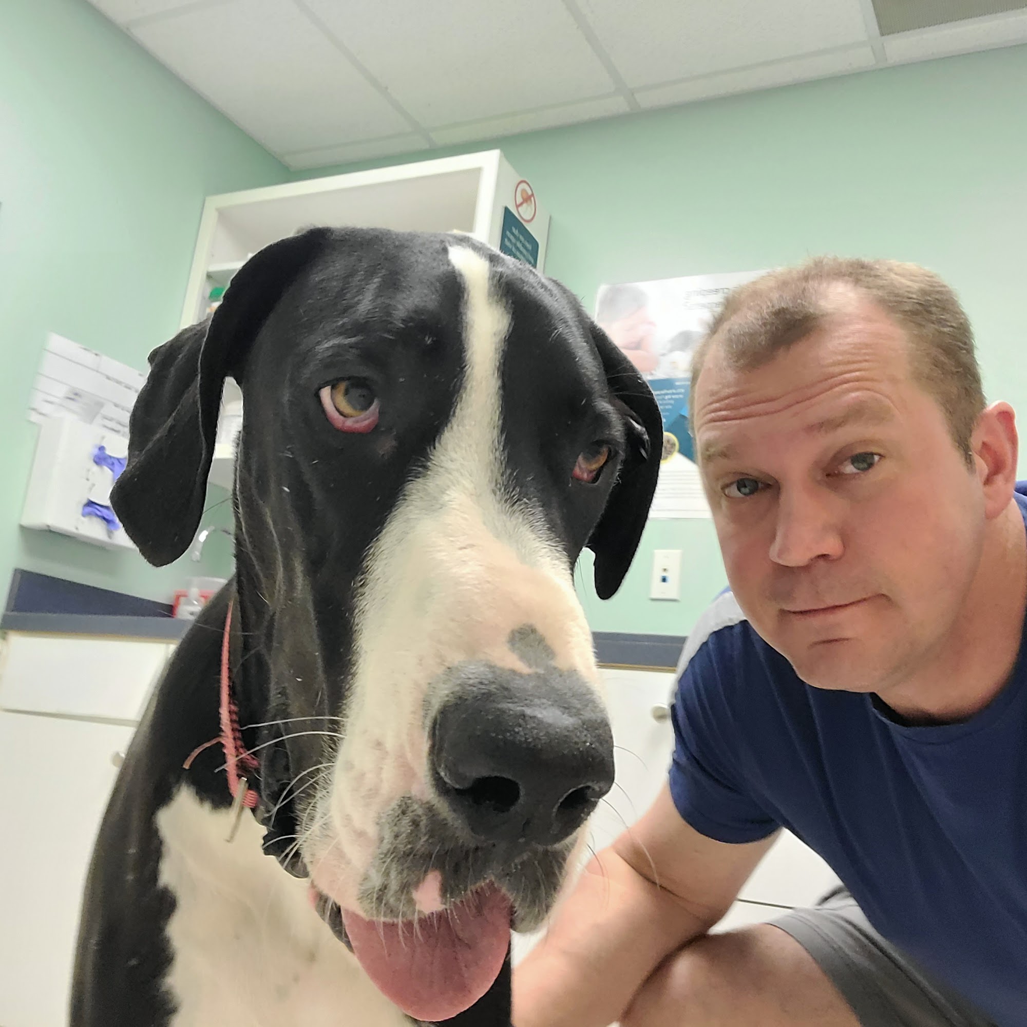 Atlantic Animal Hospital Accomac