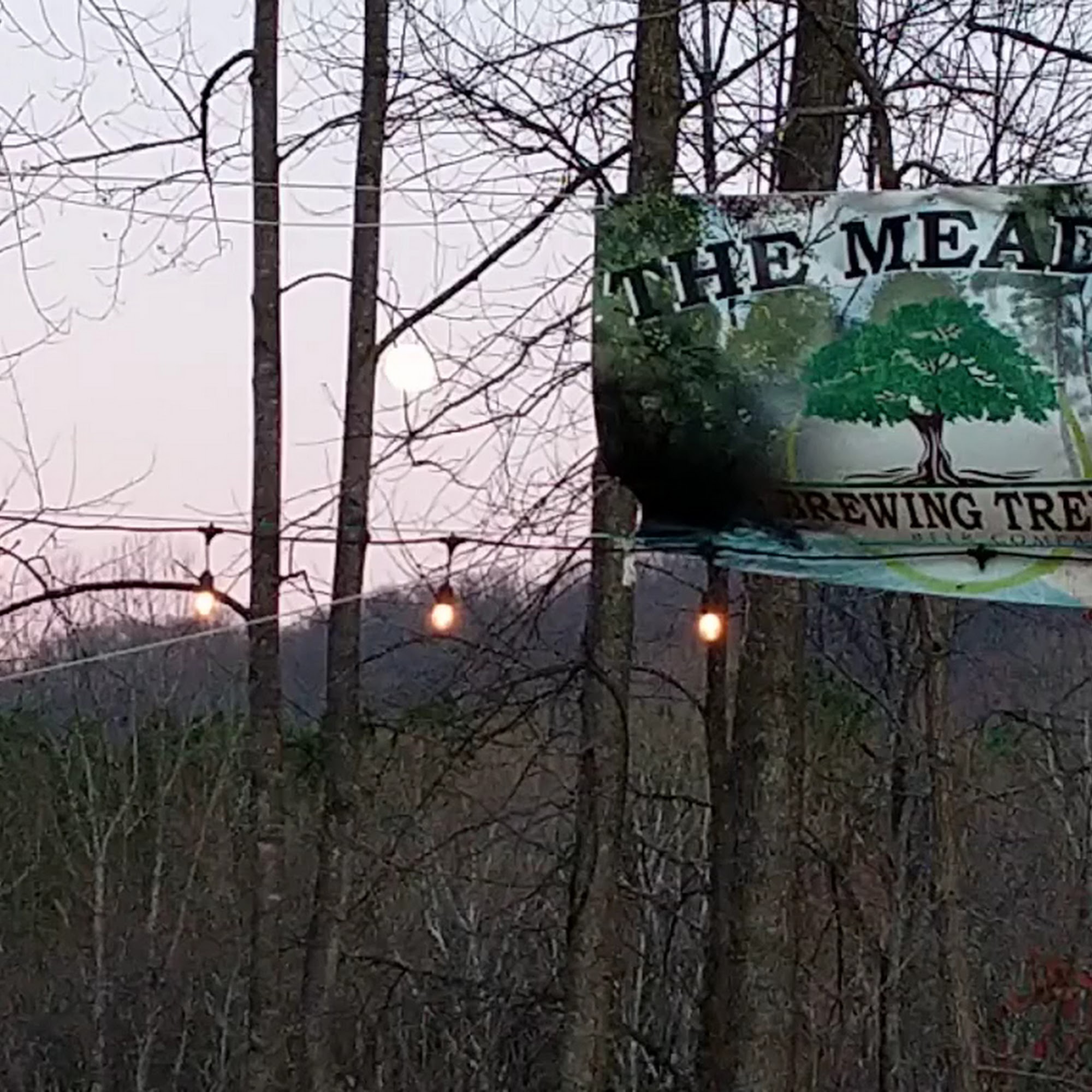 Brewing Tree Beer Co. Afton