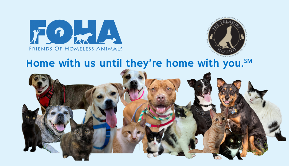 Friends of Homeless Animals Aldie