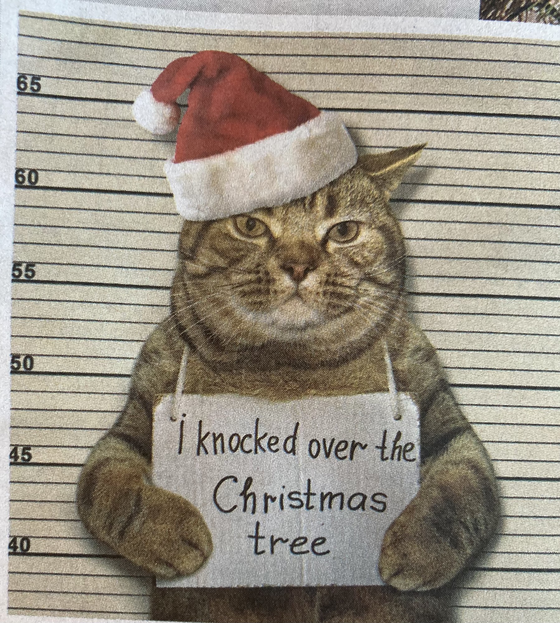 Elpaw Veterinary Clinic Alexandria