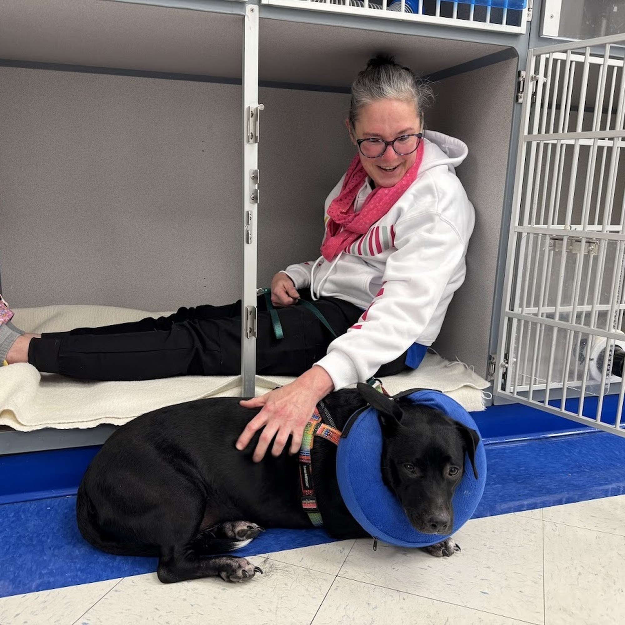 Caring Hands Animal Hospital - Alexandria Alexandria