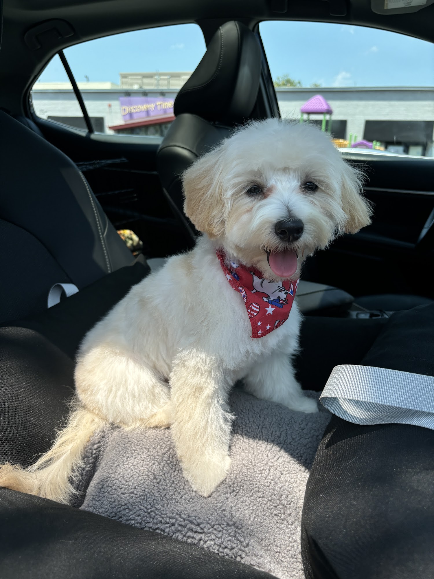 From Head to Tail Grooming Spa Alexandria