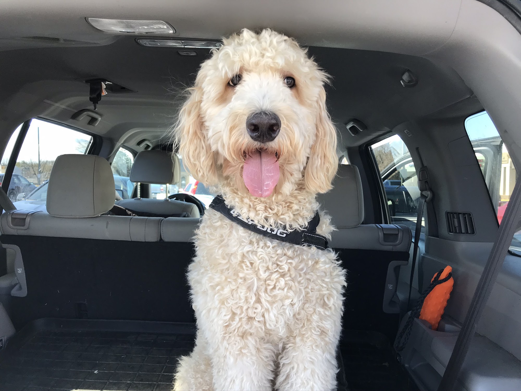 Rags To Riches Alexandria