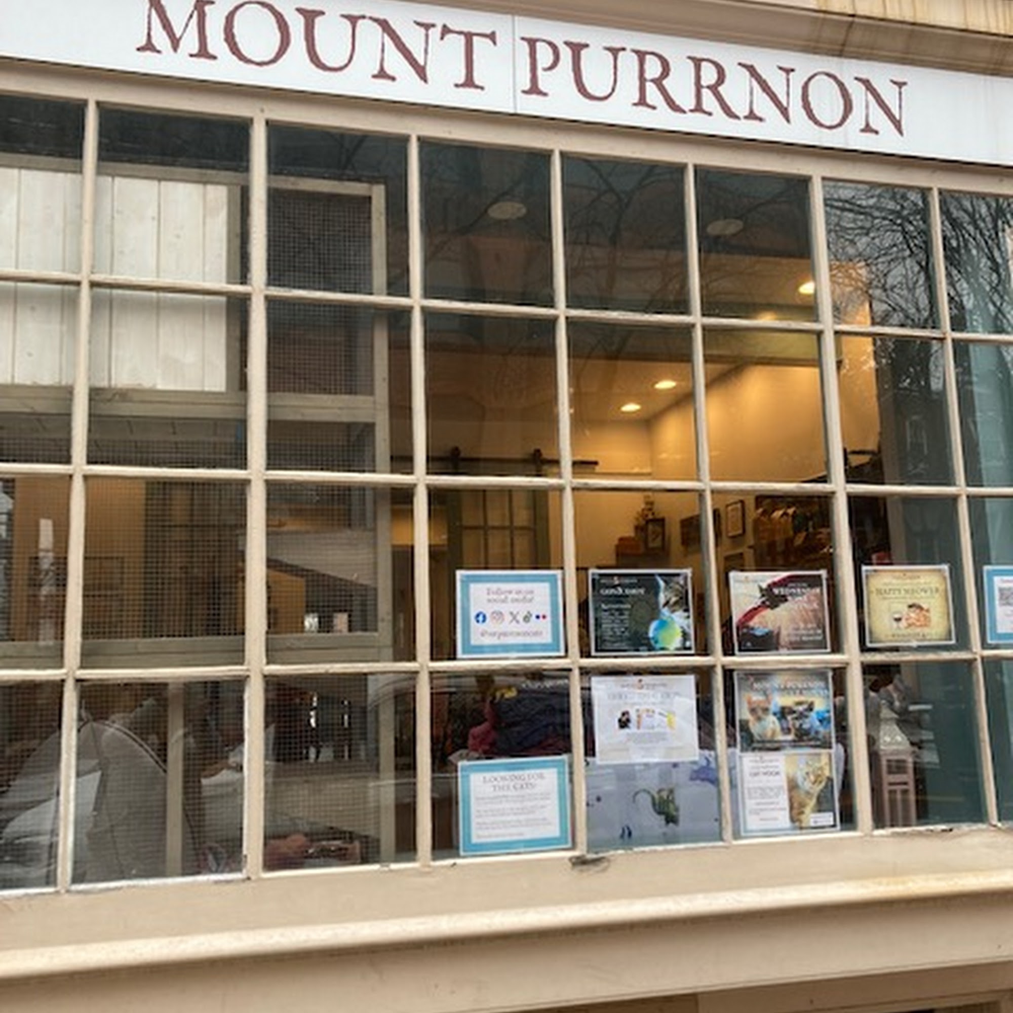 Mount Purrnon Cat Café + Wine Bar Alexandria