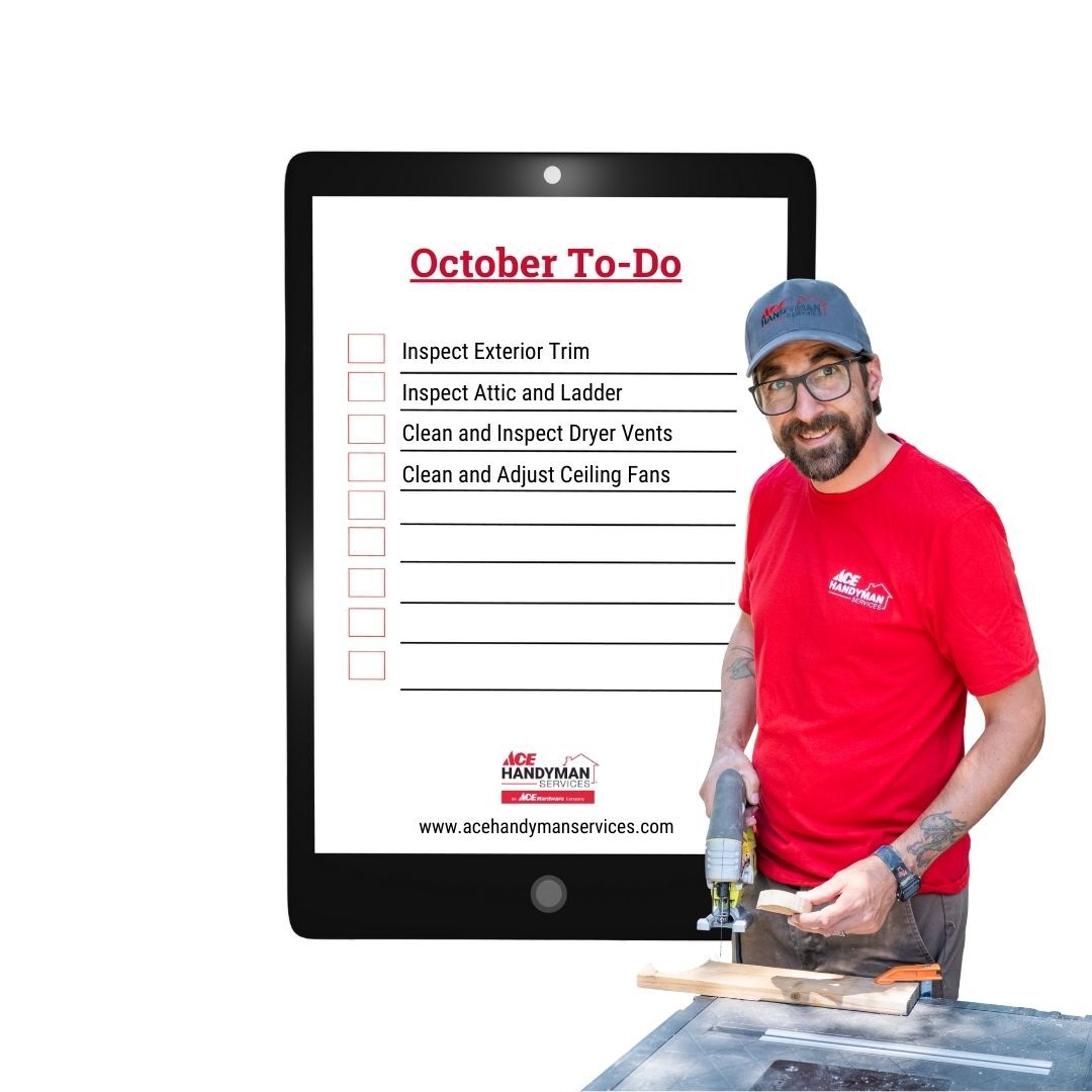 Ace Handyman ProHome Improvements - Residential Painter