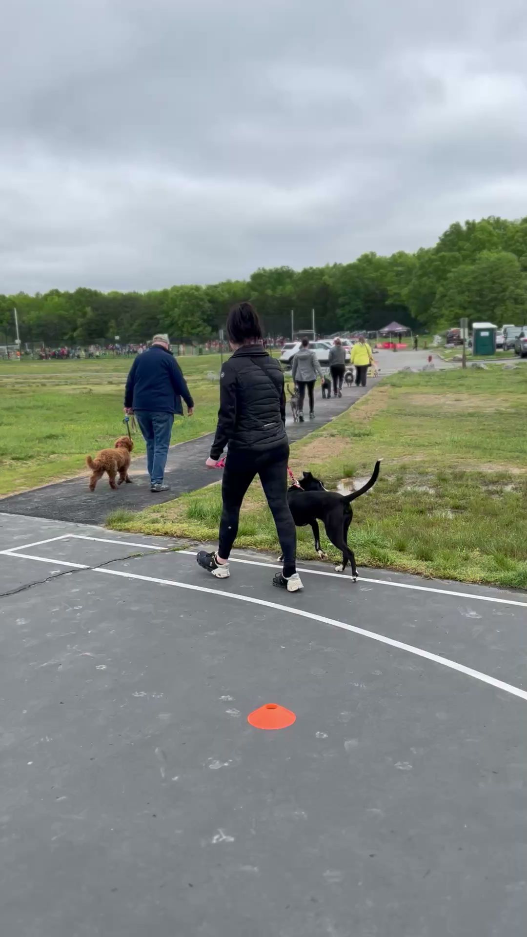 Pack Leader Help LLC Alexandria