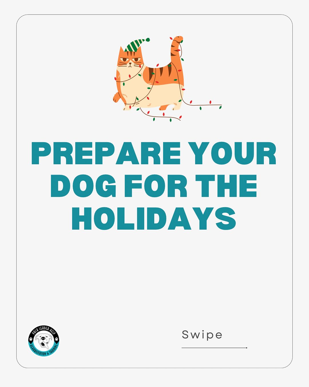 Pack Leader Help LLC Alexandria