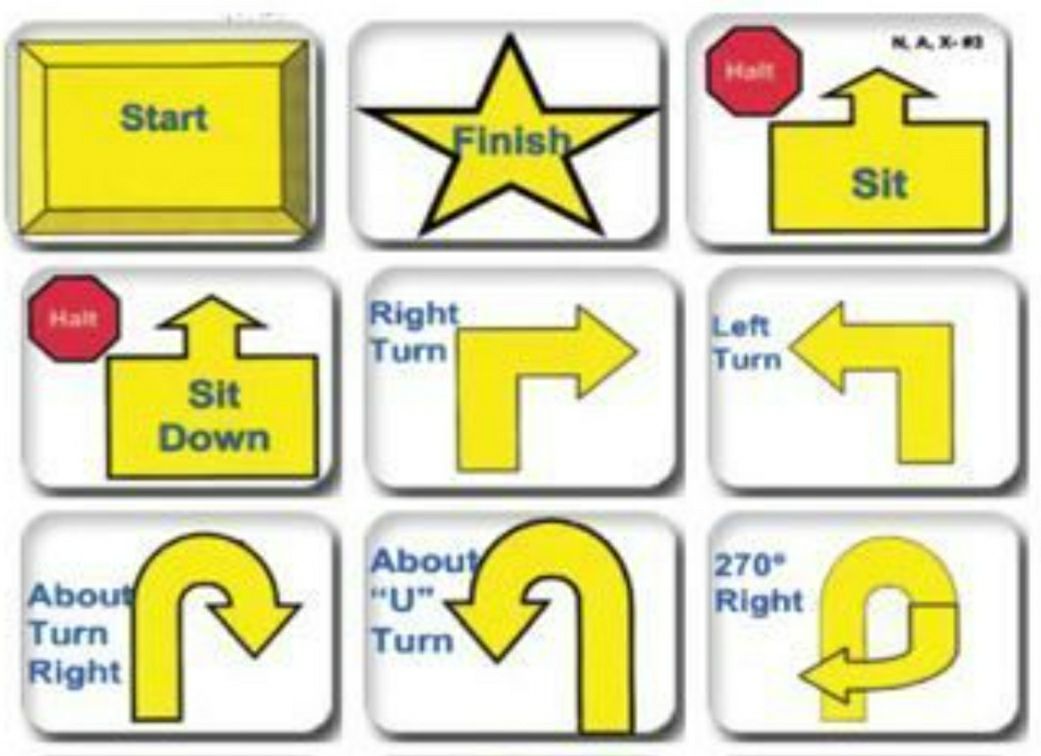 Wholistic Hound Academy Alexandria