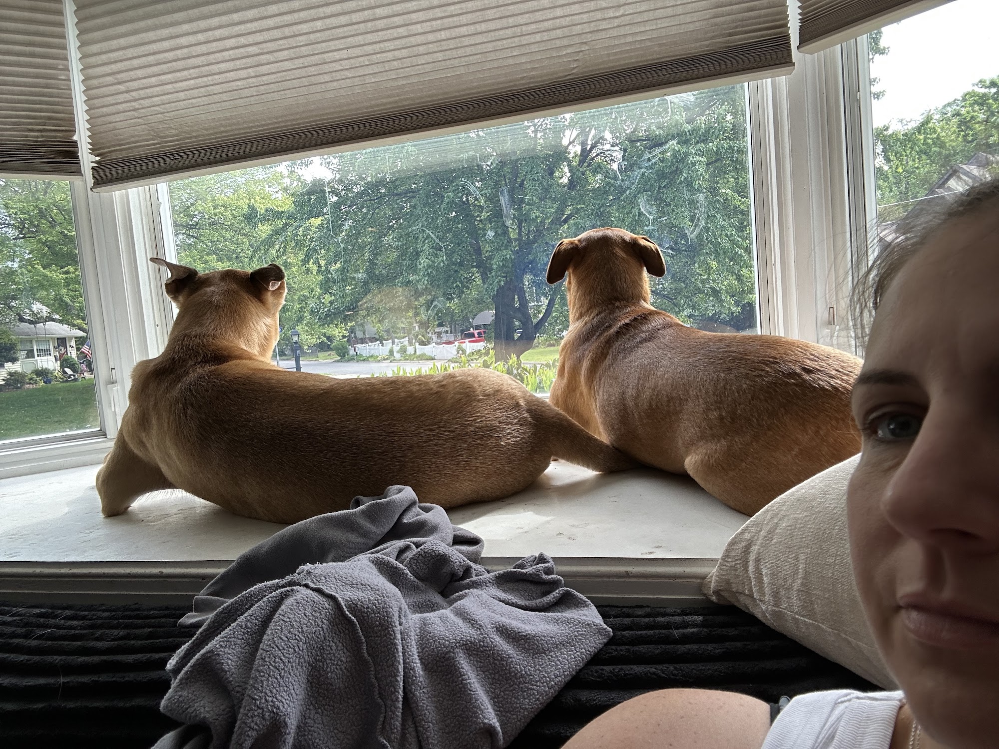 Playful Pack Alexandria