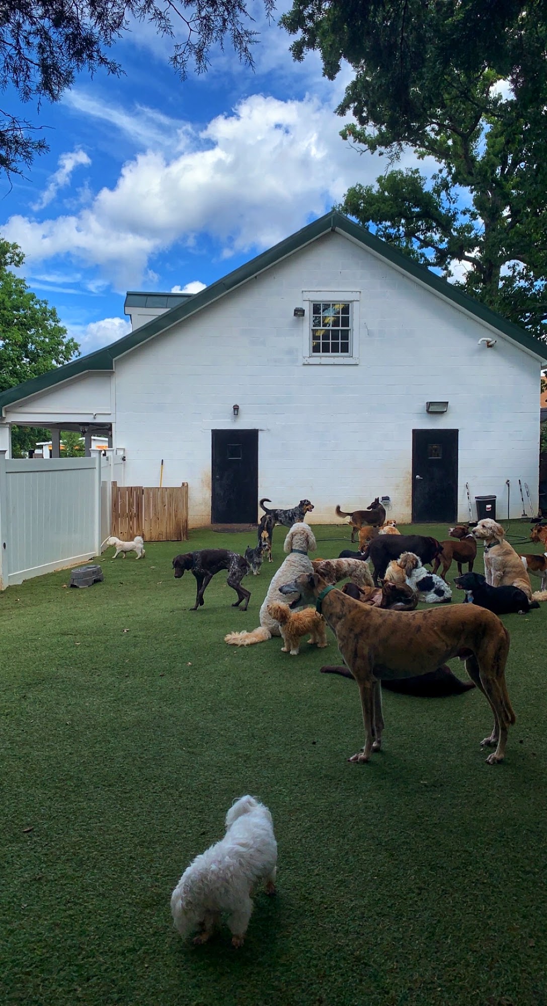 Hometown Bed & Biscuits Alexandria