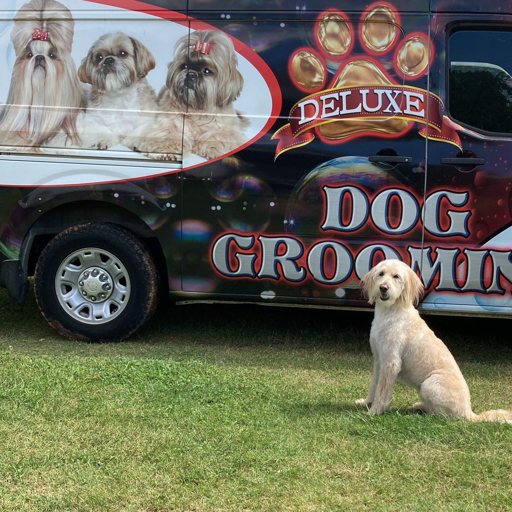 Fur Dash LLC Amherst