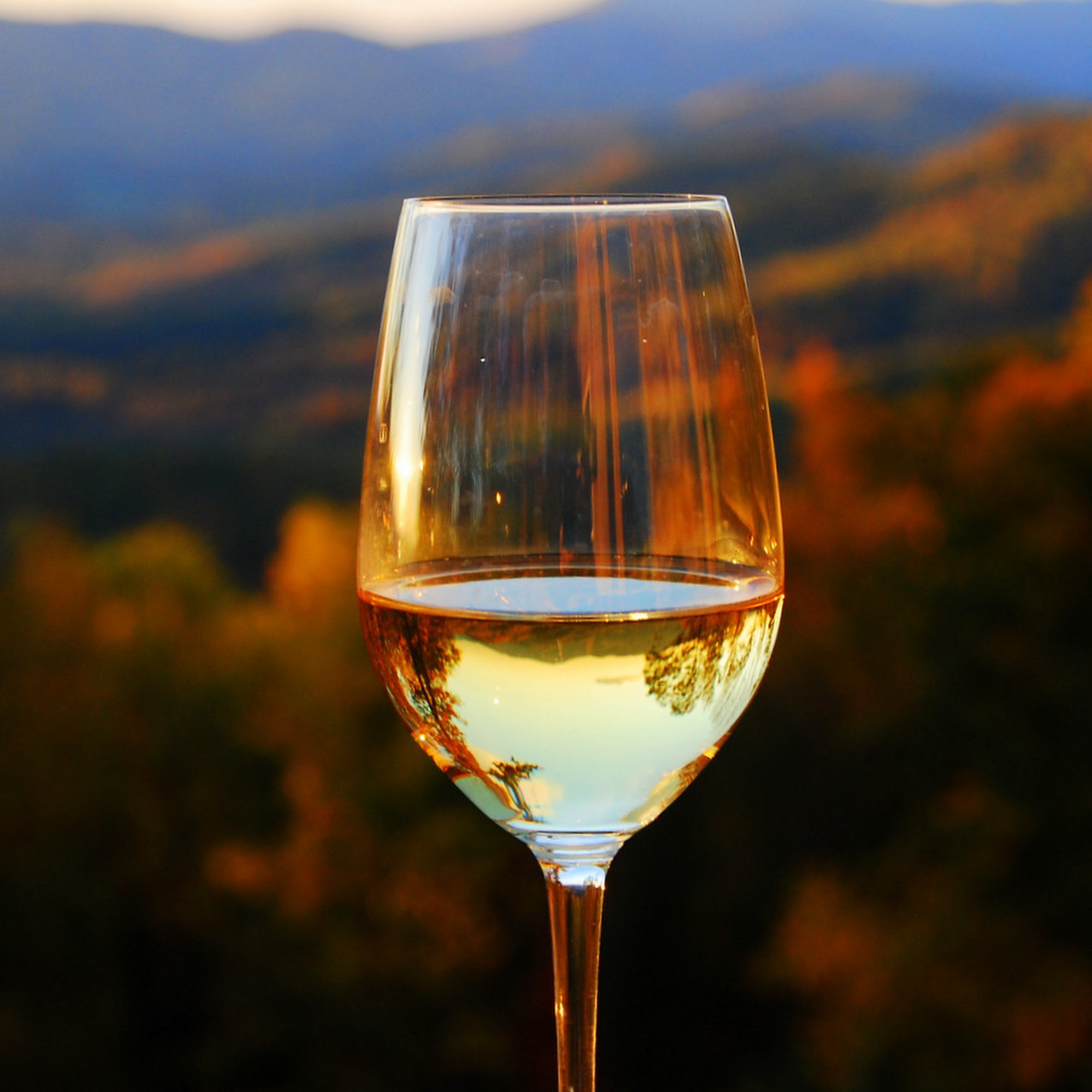 Ankida Ridge Vineyards Amherst